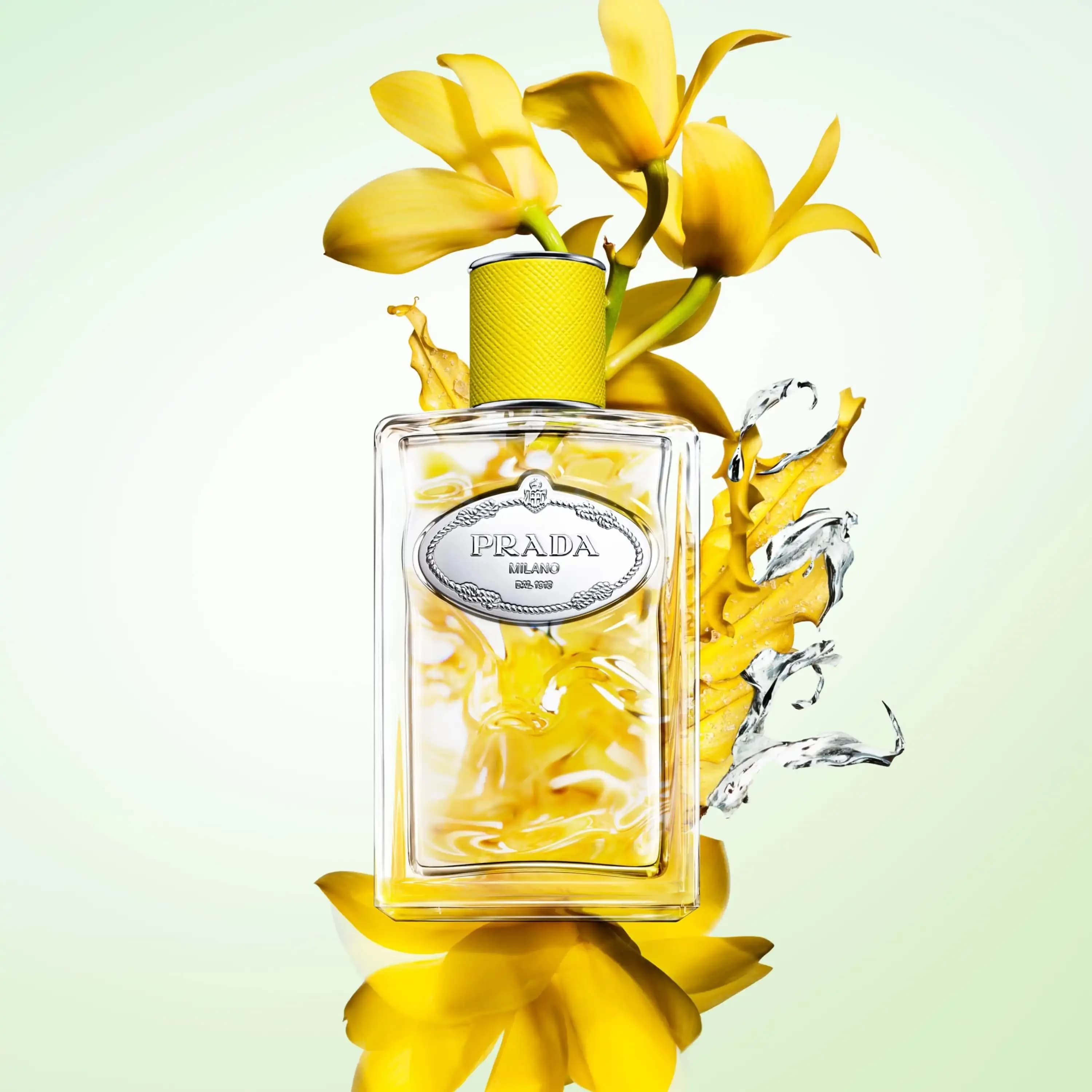 Nước hoa nữ Prada Infusion d Ylang EDP 2
