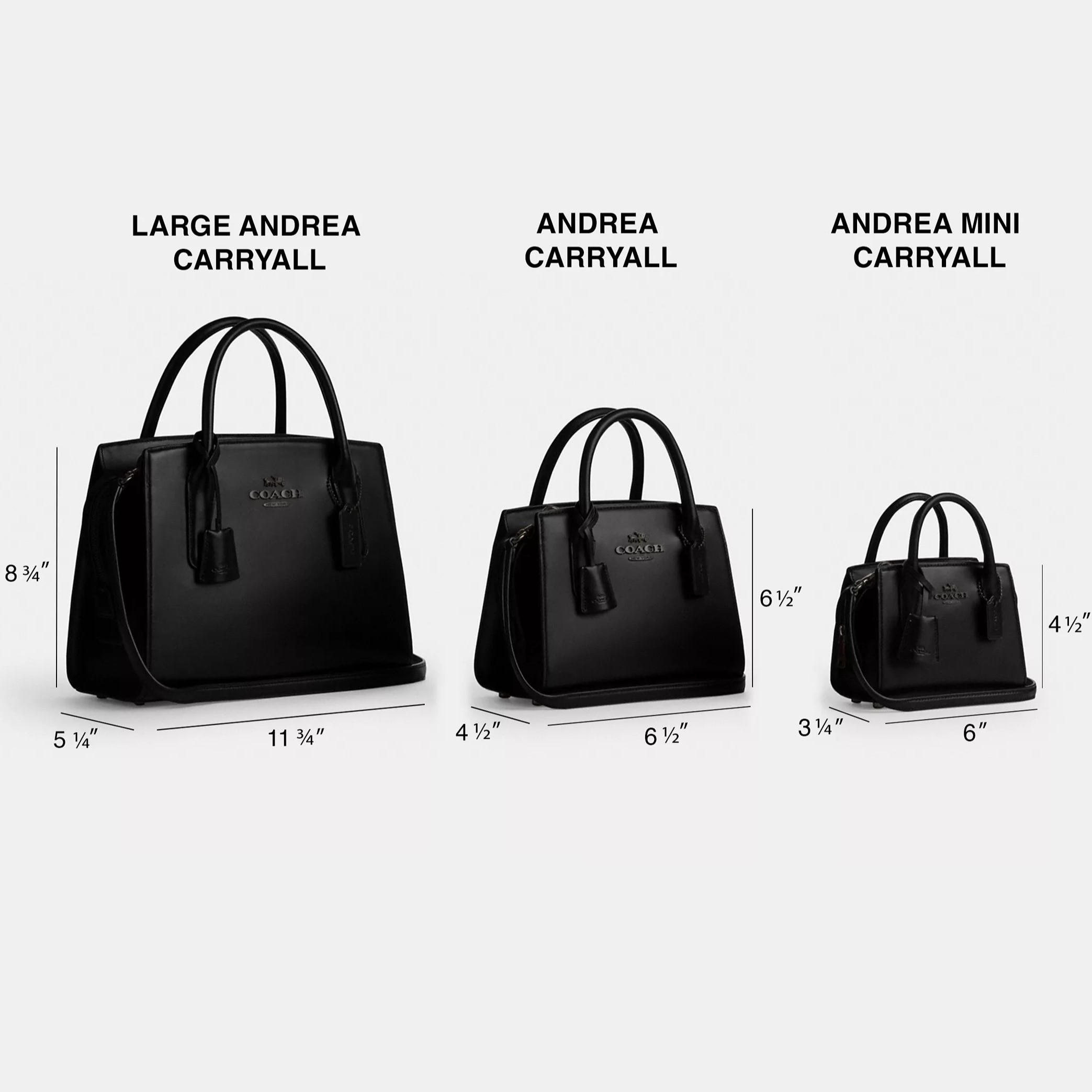 TÚI ĐEO CHÉO NỮ COACH ANDREA CARRYALL BAG SILVER CHALK CP081 3