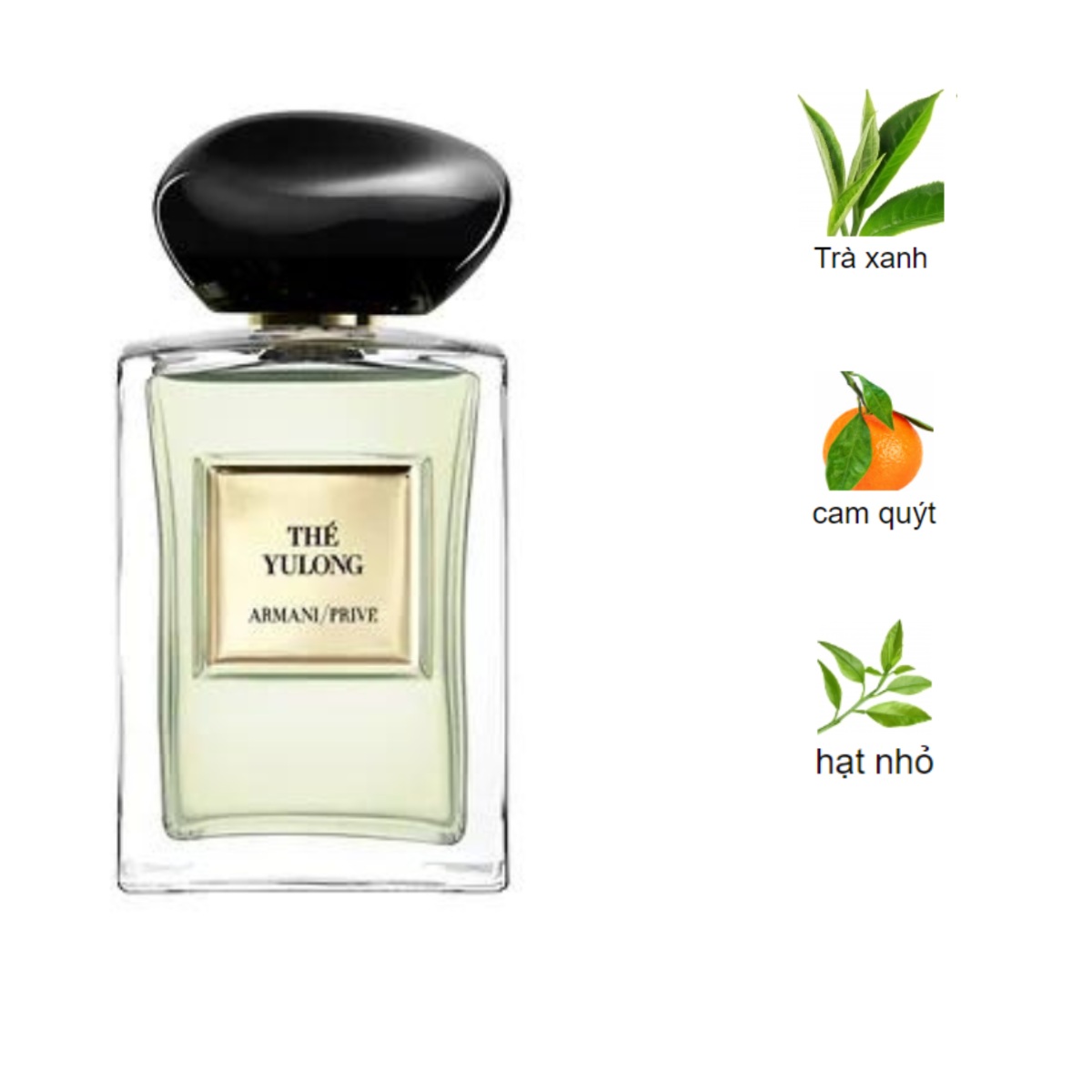 Nước Hoa Unisex Giorgio Armani Prive The Yulong EDT 4