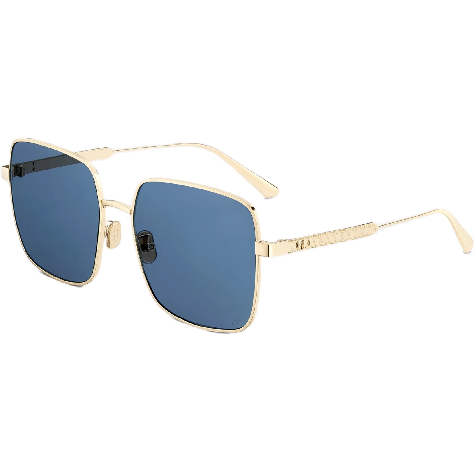Mắt kính Dior DiorCannage S1U Blue Square Sunglasses 6