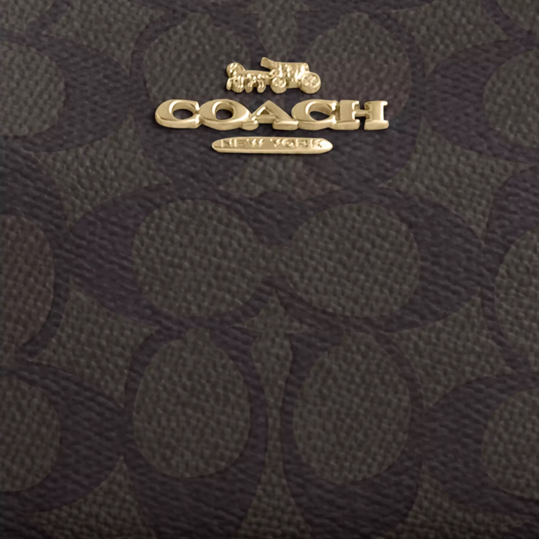Túi đeo chéo Coach Teri Mini Crossbody Bag In Signature Canvas Walnut CW323 4