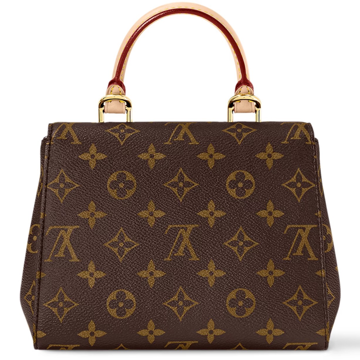 Túi xách Louis Vuitton Cluny Mini Monogram Canvas 1
