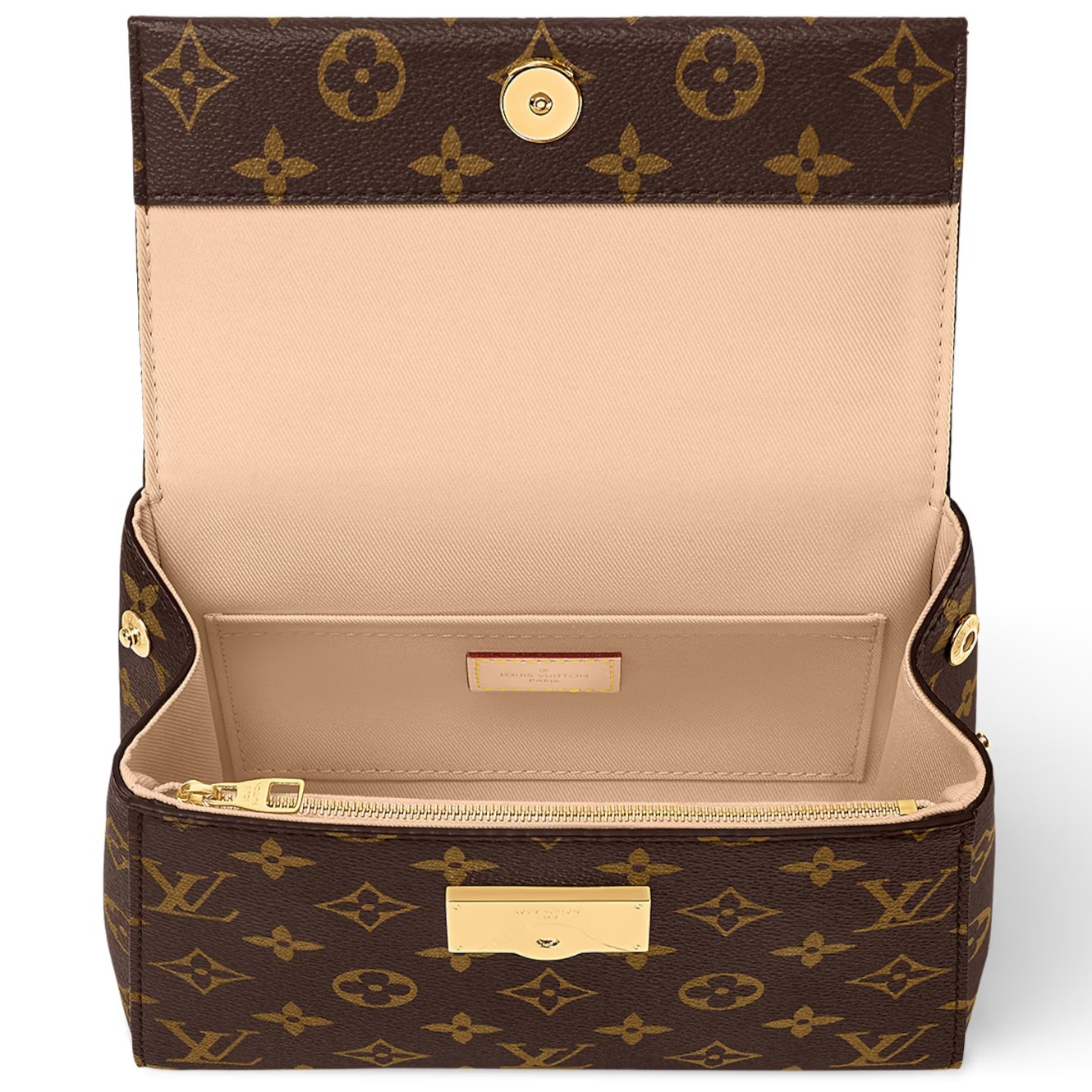 Túi xách Louis Vuitton Cluny Mini Monogram Canvas 3