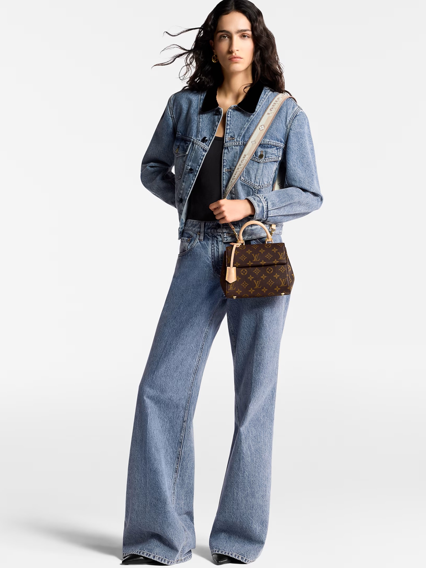 Túi xách Louis Vuitton Cluny Mini Monogram Canvas 4