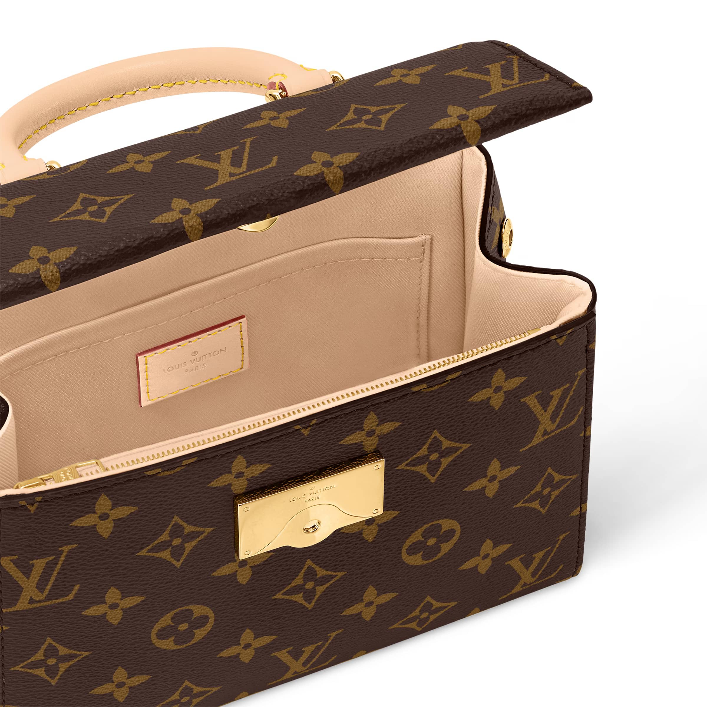 Túi xách Louis Vuitton Cluny Mini Monogram Canvas 6