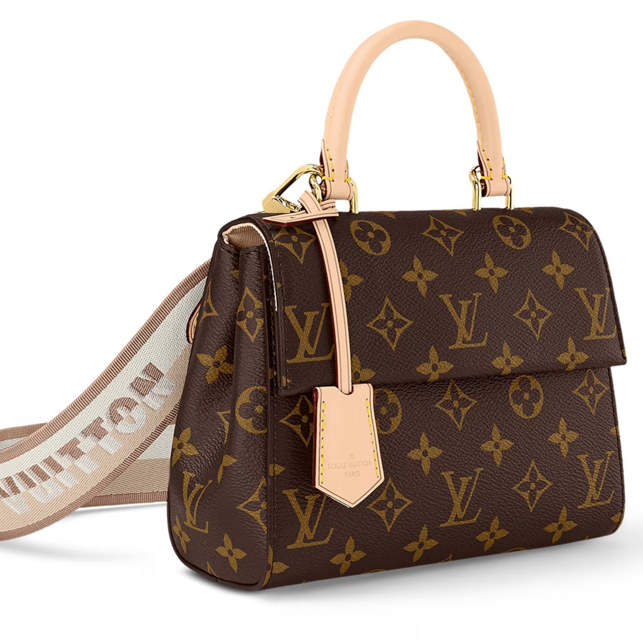Túi xách Louis Vuitton Cluny Mini Monogram Canvas 7