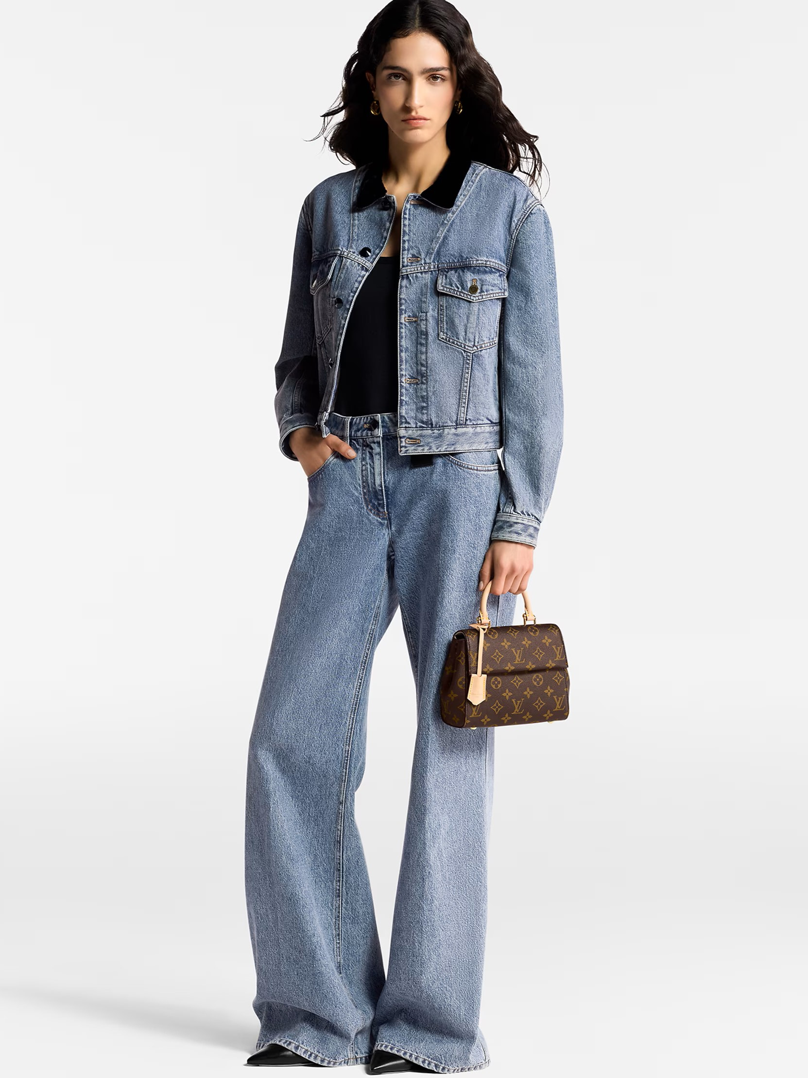 Túi xách Louis Vuitton Cluny Mini Monogram Canvas 5
