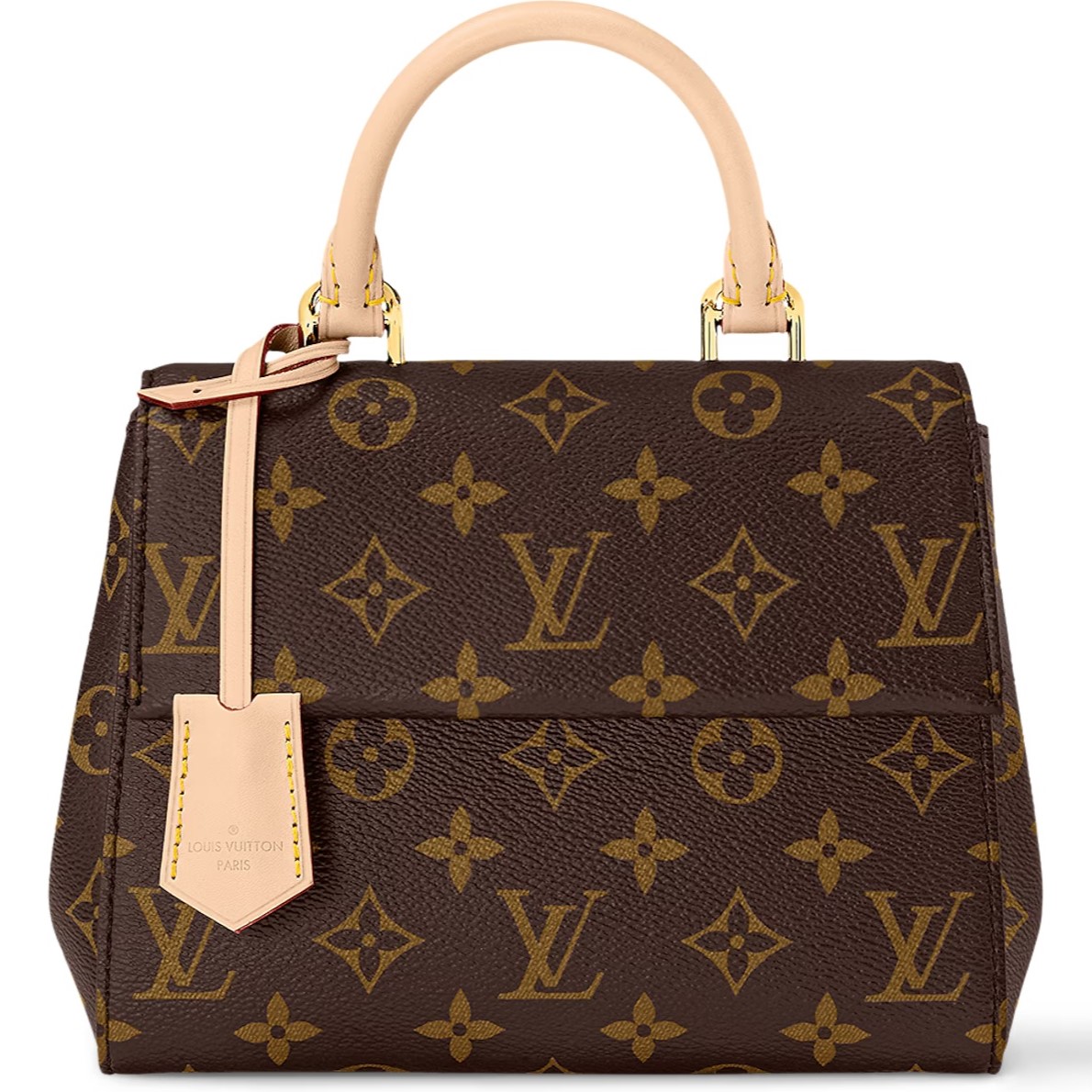 Túi xách Louis Vuitton Cluny Mini Monogram Canvas 9