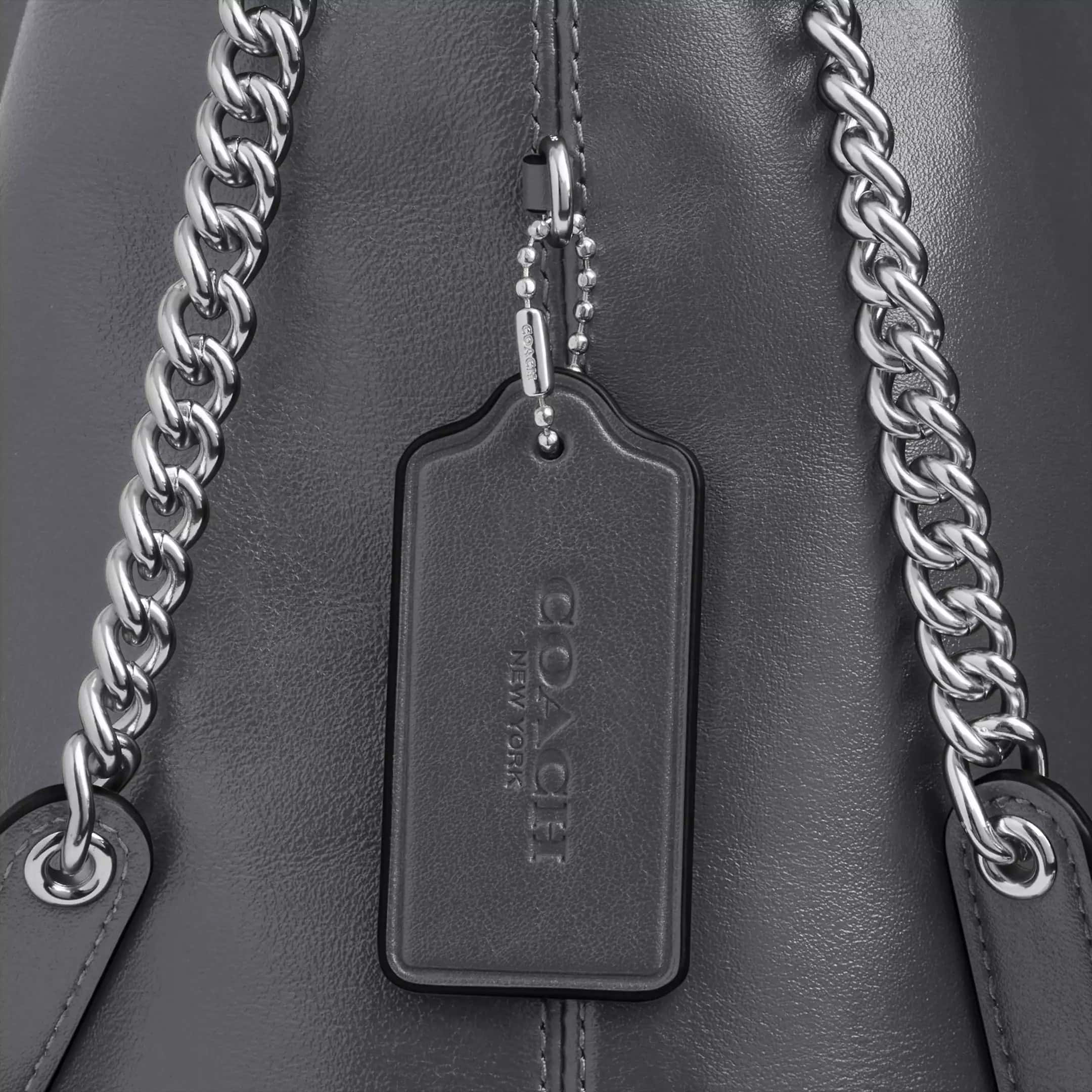 Túi xách Coach nữ Evelyn Shoulder Bag Gray CCZ79 3
