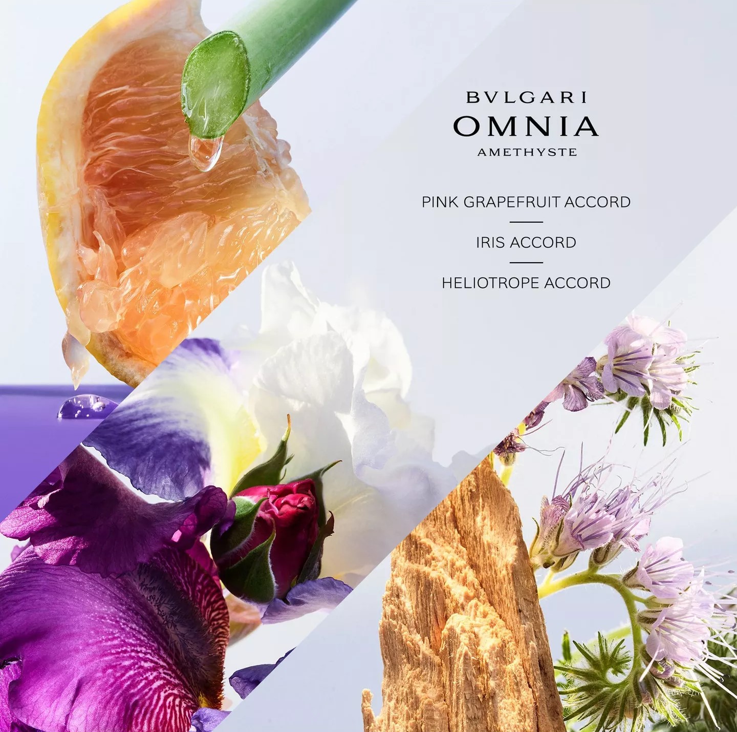 Nước hoa nữ Bvlgari Omnia Amethyste EDT 5