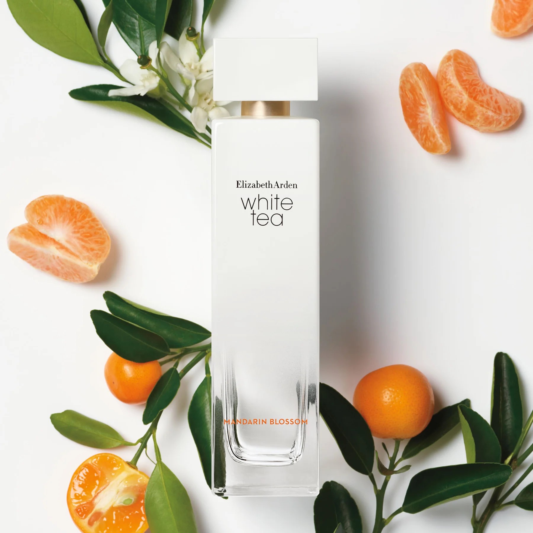 Nước Hoa nữ Elizabeth Arden White Tea Mandarin Blossom EDT 5