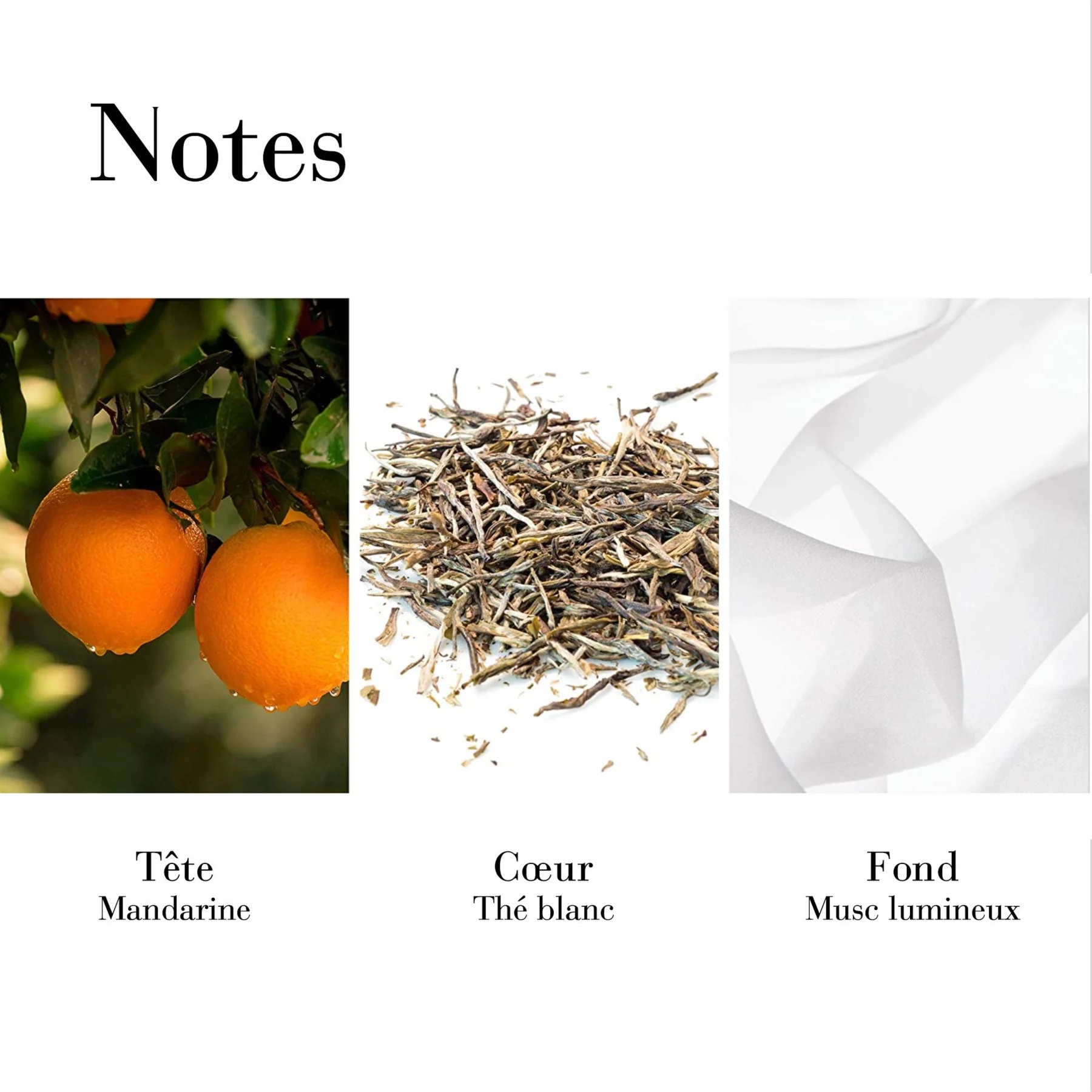 Nước Hoa nữ Elizabeth Arden White Tea Mandarin Blossom EDT 6