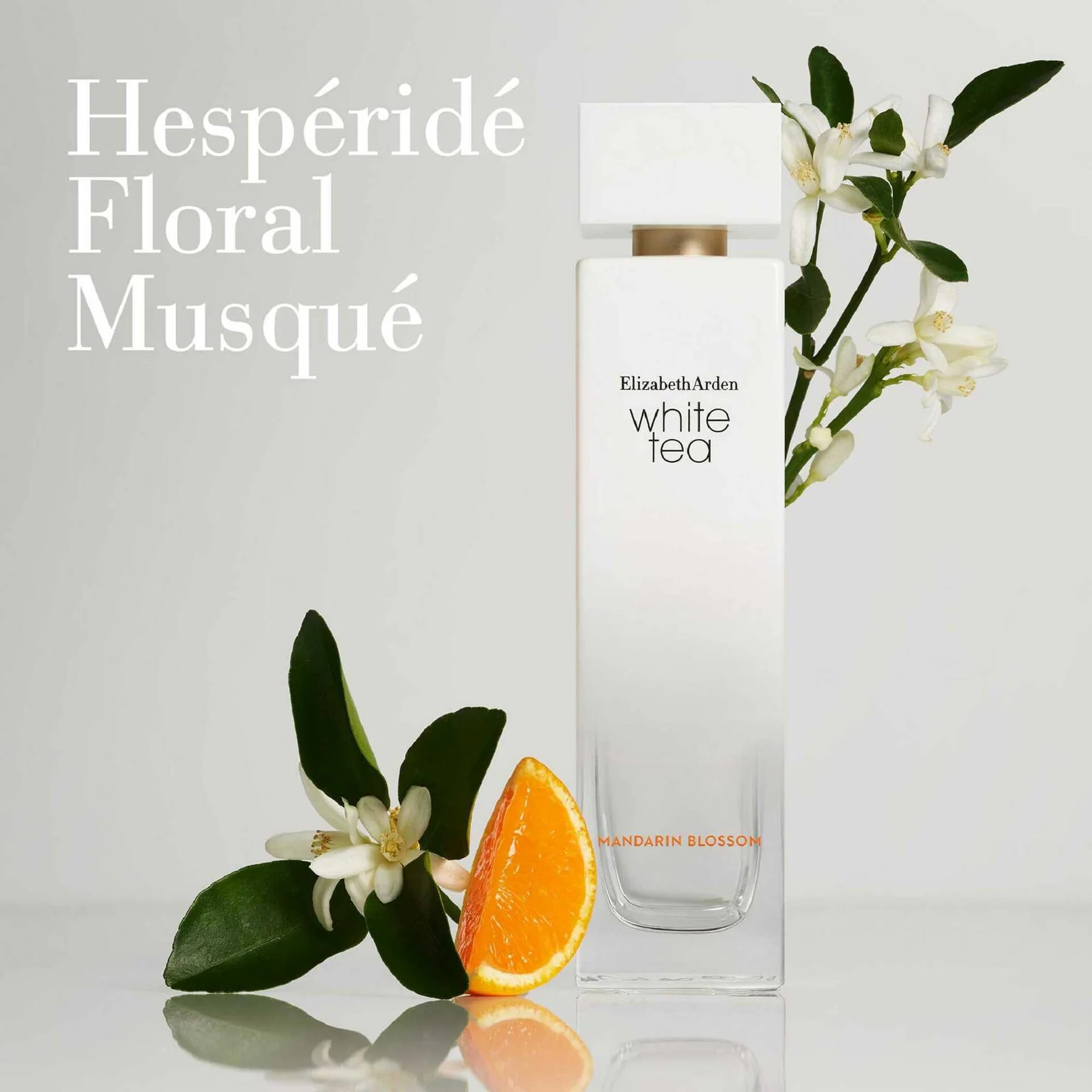 Nước Hoa nữ Elizabeth Arden White Tea Mandarin Blossom EDT 3