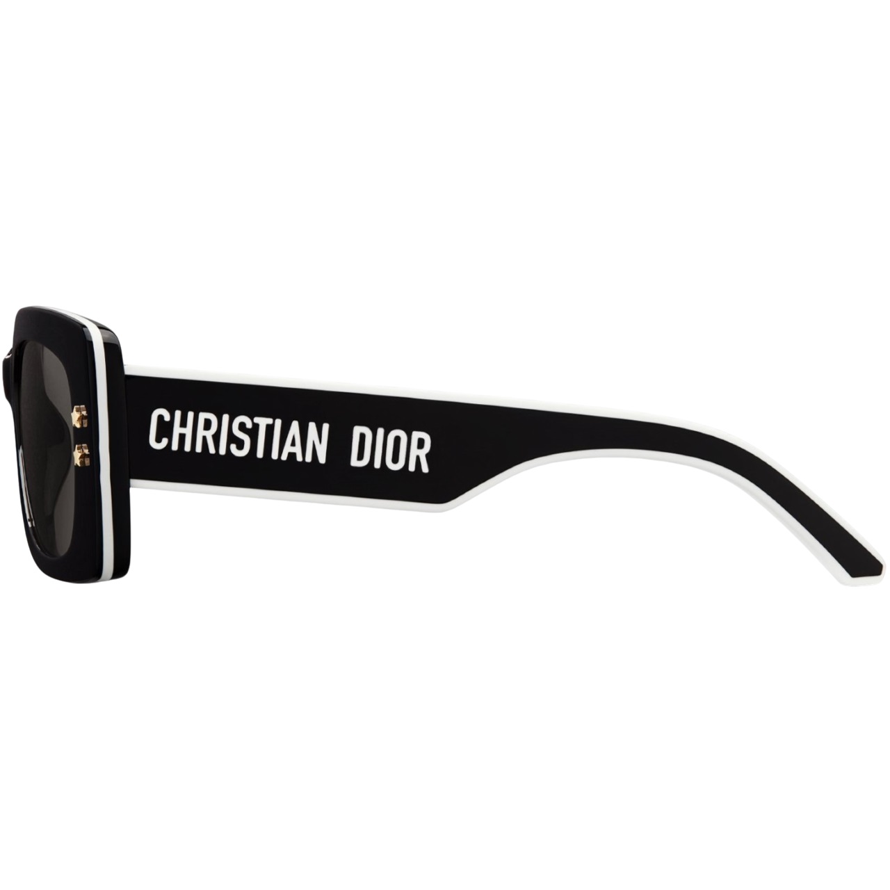 Kính mát Dior DiorPacific S1U Black Rectangular Sunglasses 12