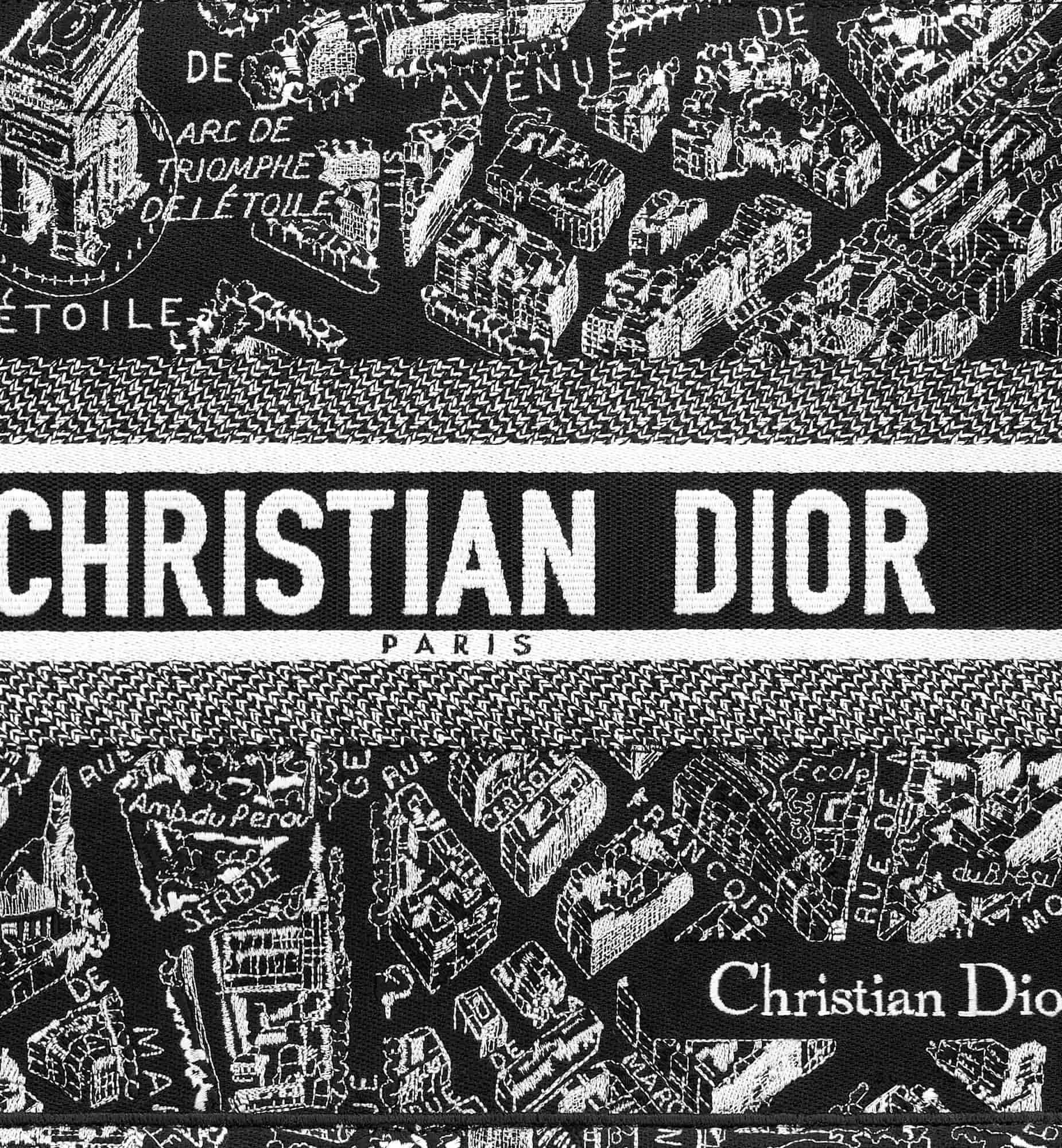 Túi xách Medium Dior Book Tote Black and White Plan de Paris Embroidery 3