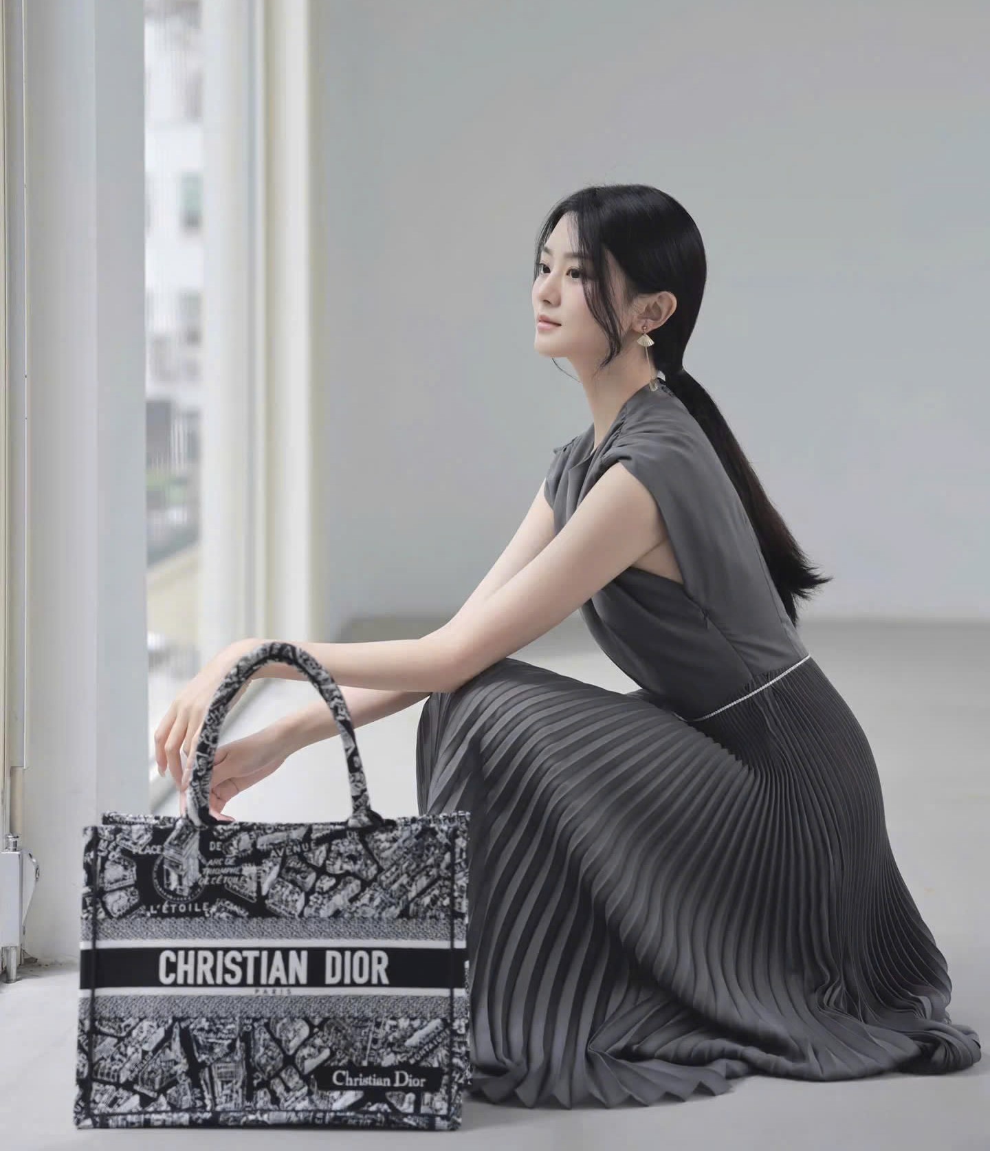 Túi xách Medium Dior Book Tote Black and White Plan de Paris Embroidery 8