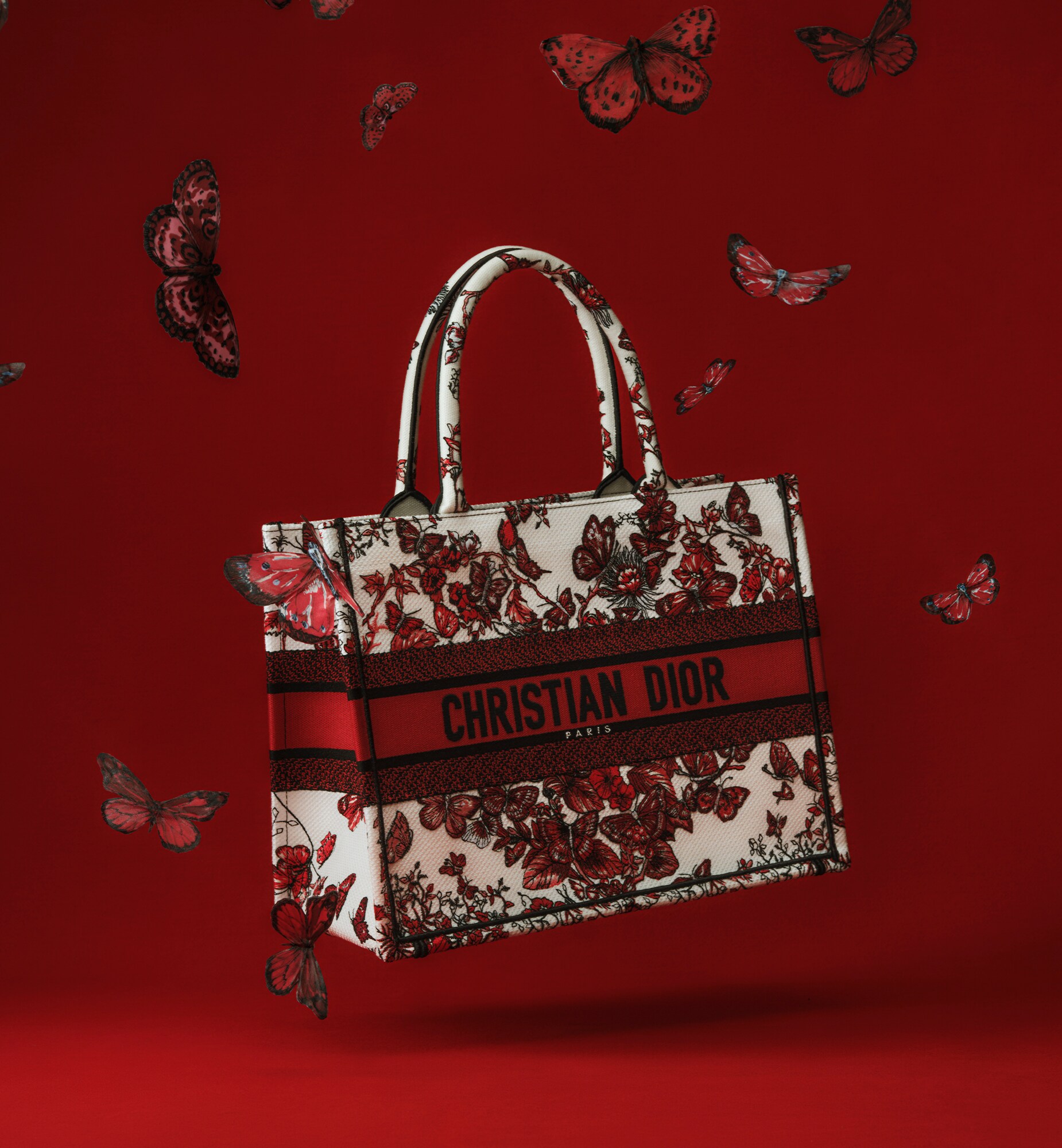 Túi xách Dior Medium Dior Book Tote White and Red Le Coeur des Papillons Embroidery 2