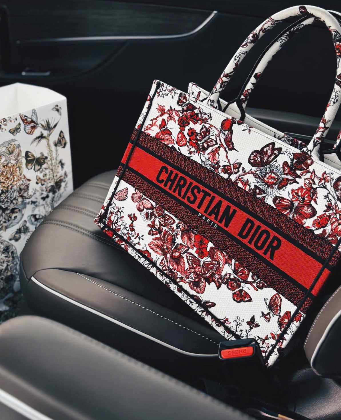 Túi xách Dior Medium Dior Book Tote White and Red Le Coeur des Papillons Embroidery 4