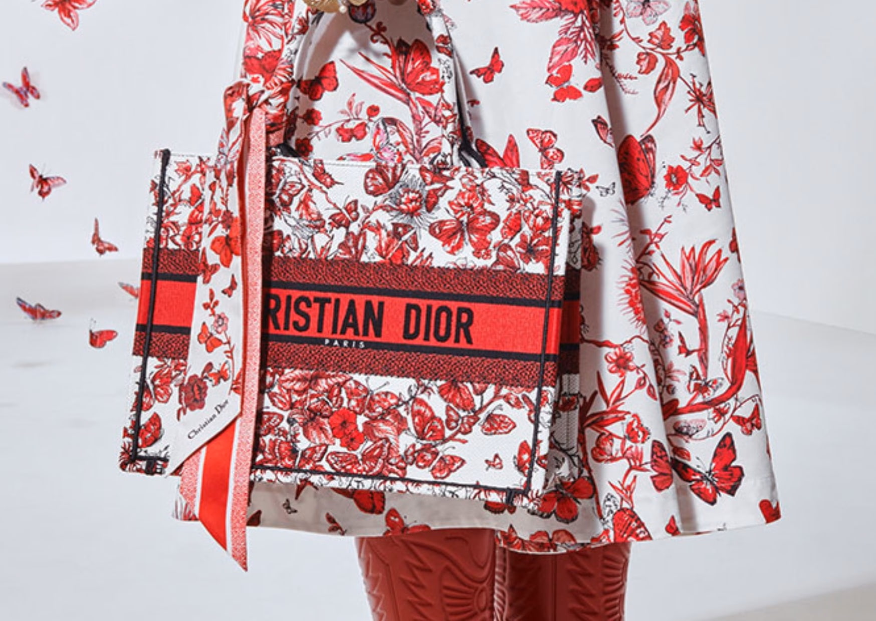 Túi xách Dior Medium Dior Book Tote White and Red Le Coeur des Papillons Embroidery 6