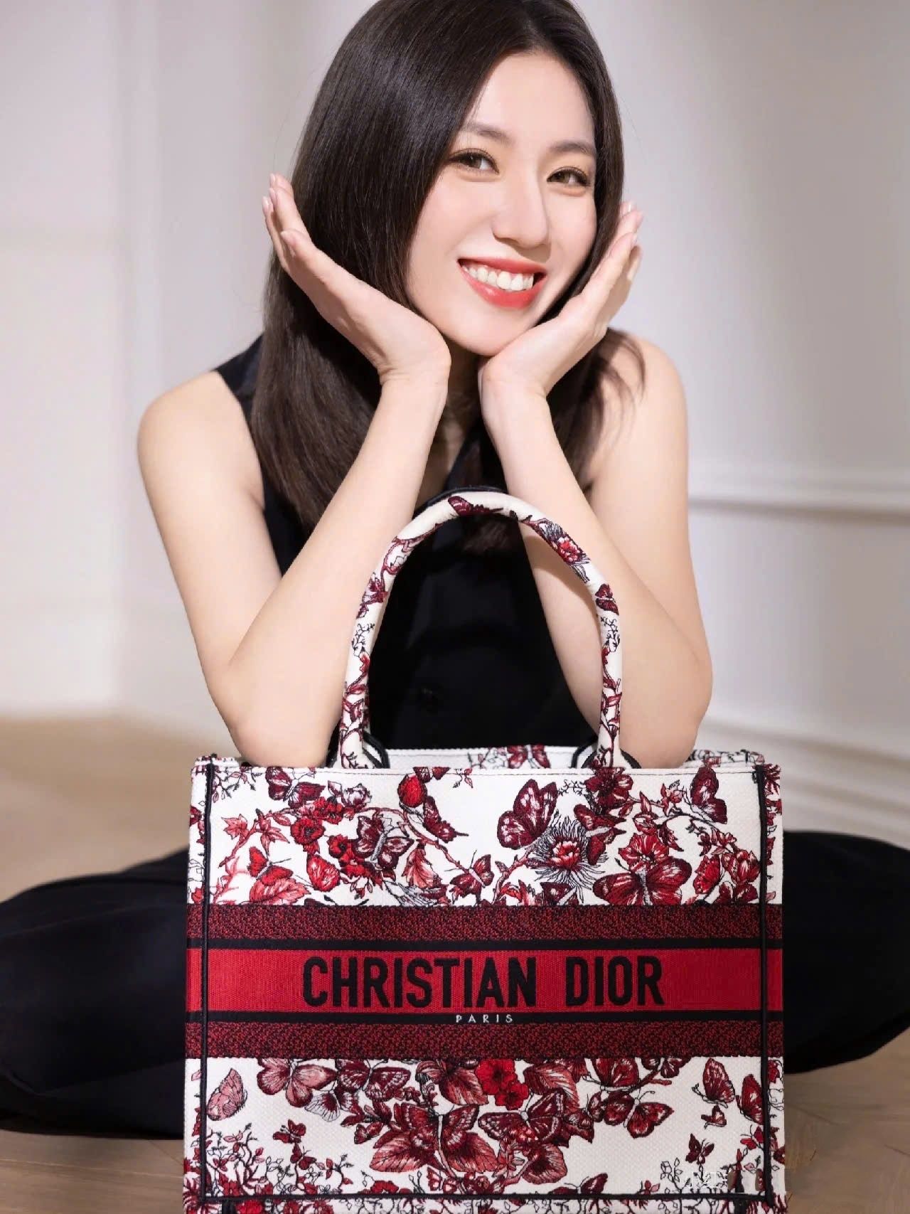 Túi xách Dior Medium Dior Book Tote White and Red Le Coeur des Papillons Embroidery 9