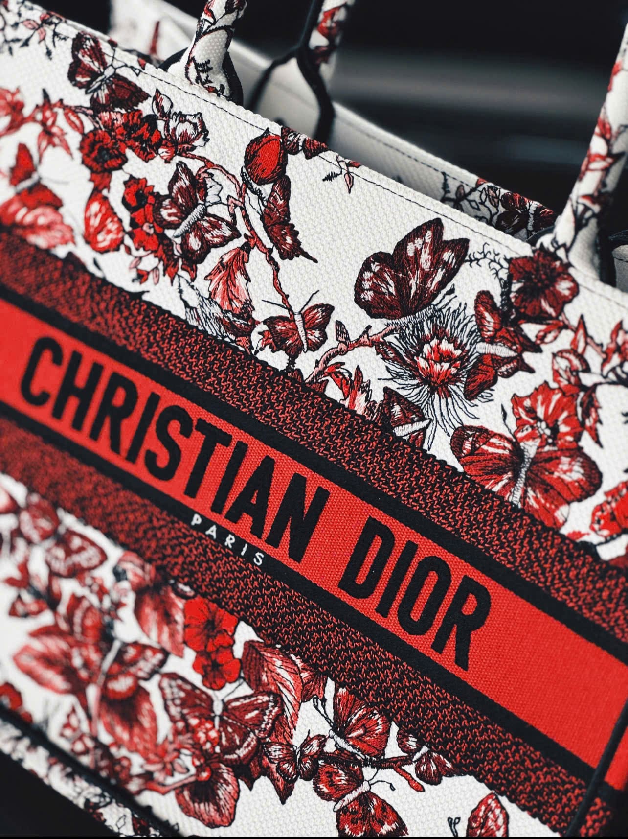 Túi xách Dior Medium Dior Book Tote White and Red Le Coeur des Papillons Embroidery 10