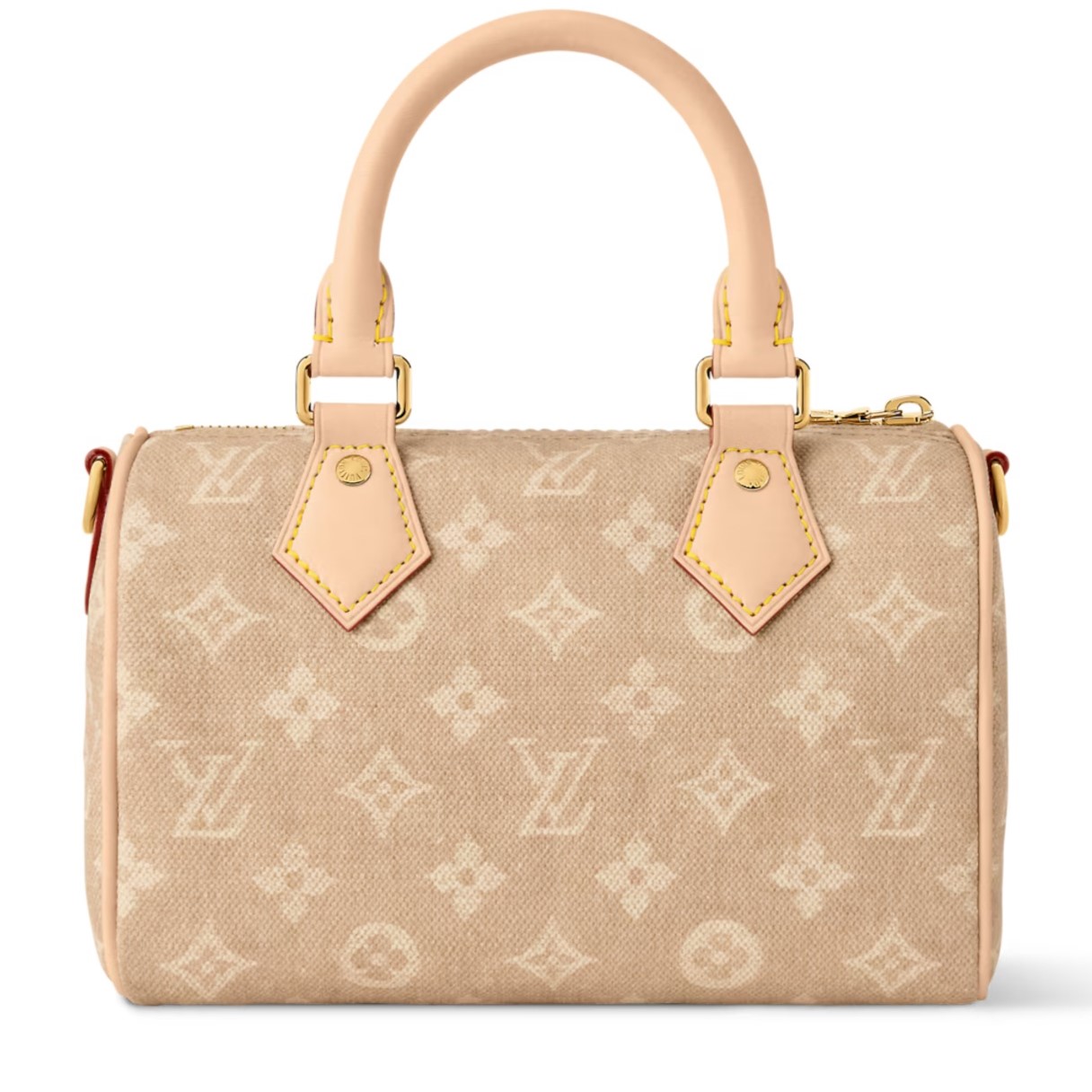 Túi xách Louis Vuitton Speedy Bandouliere 20 Meowgram Canvas 3