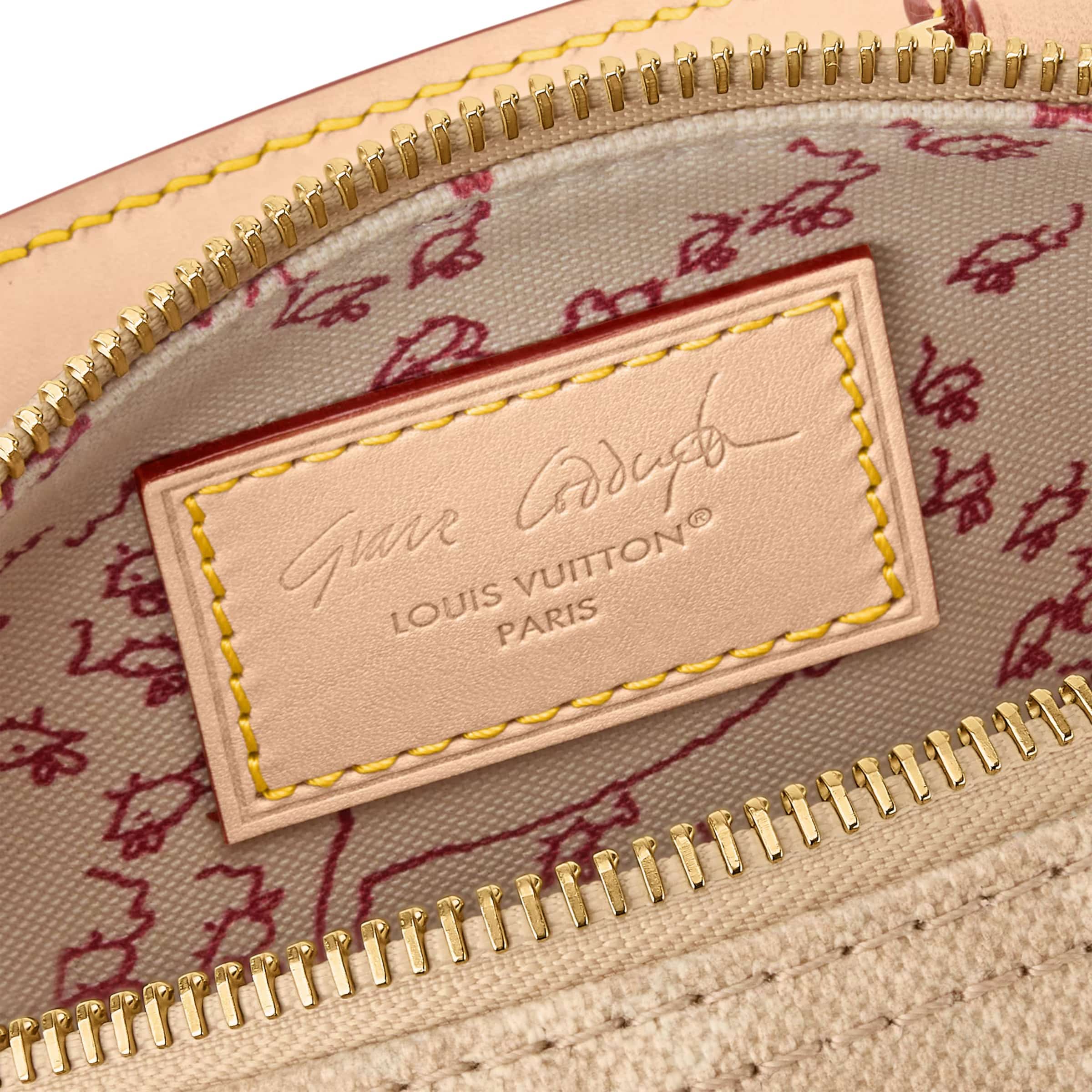 Túi xách Louis Vuitton Speedy Bandouliere 20 Meowgram Canvas 5