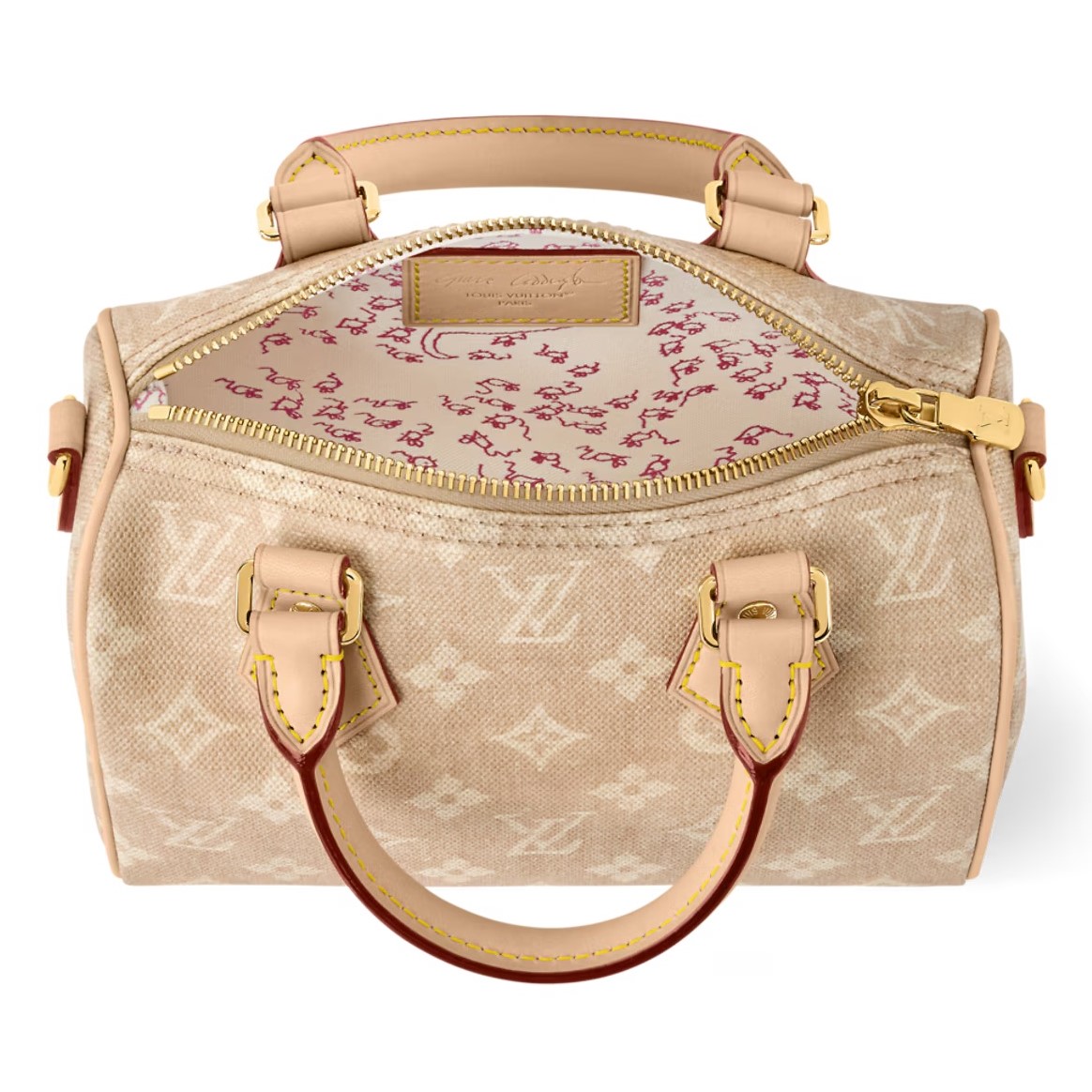 Túi xách Louis Vuitton Speedy Bandouliere 20 Meowgram Canvas 6