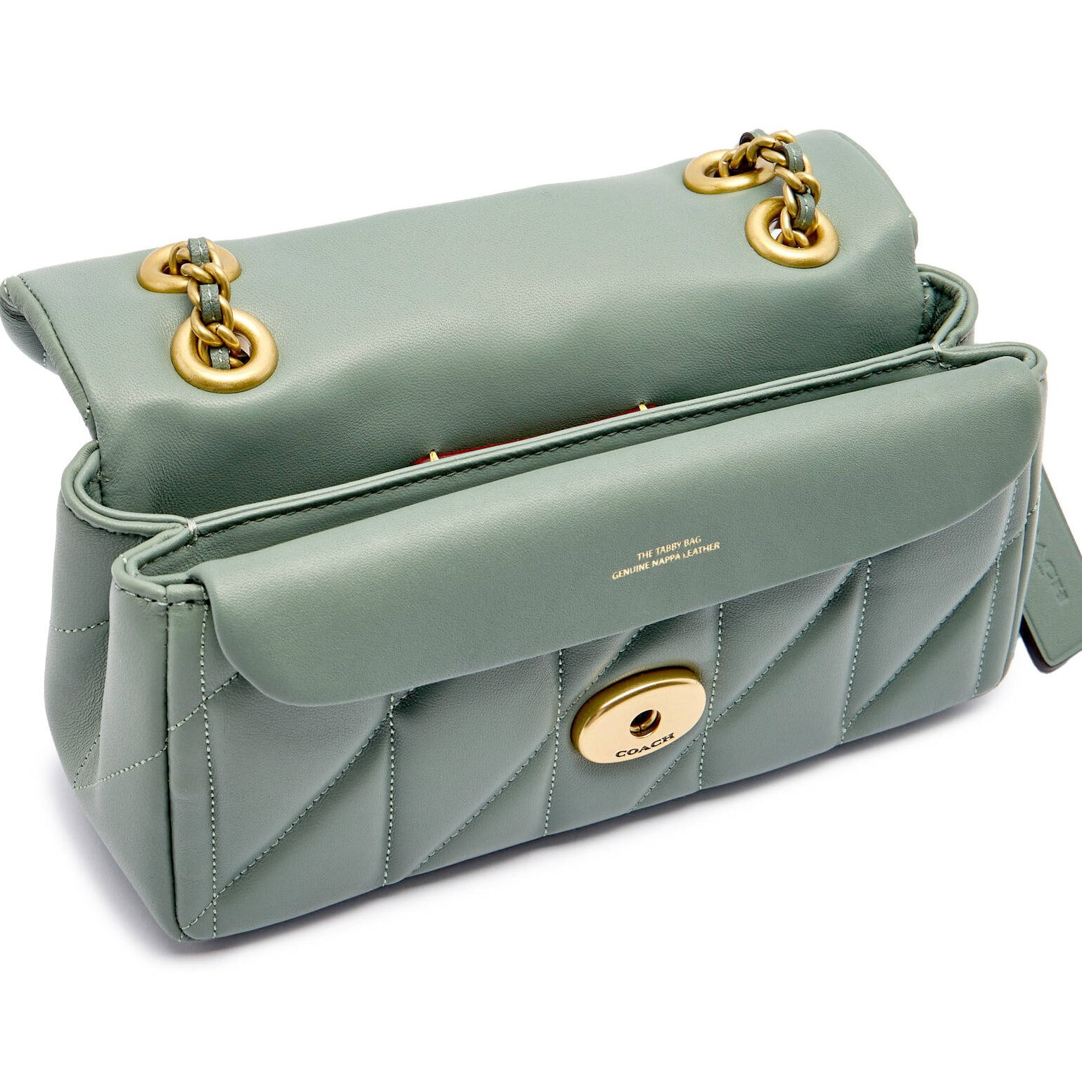 Túi đeo chéo Coach Tabby Shoulder Bag 20 With Pillow Quilting Nappa Leather Sage CP149 3