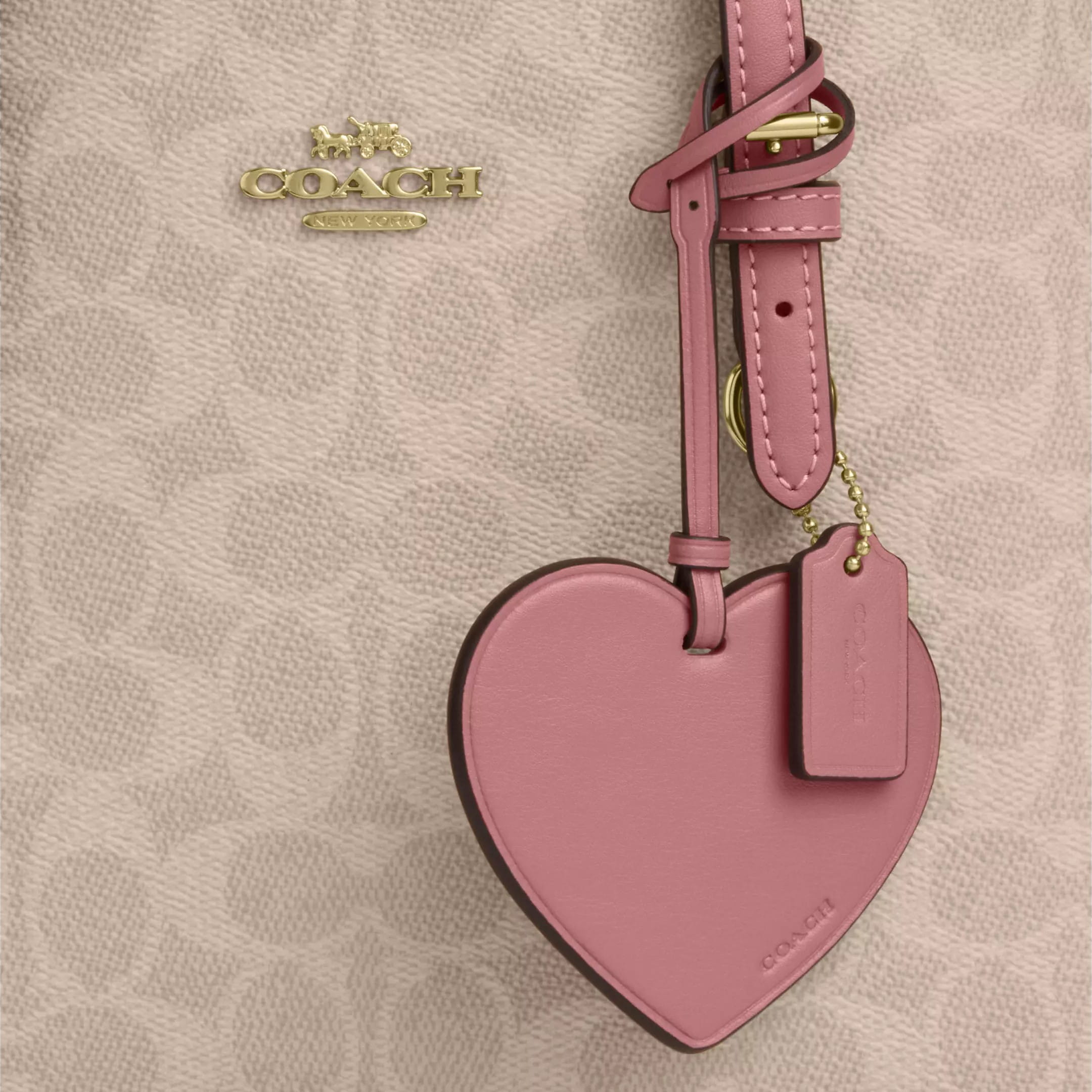 Túi xách Coach Mollie Tote Bag 25 In Signature Canvas With Heart Charm Sand Peony CDF03 4