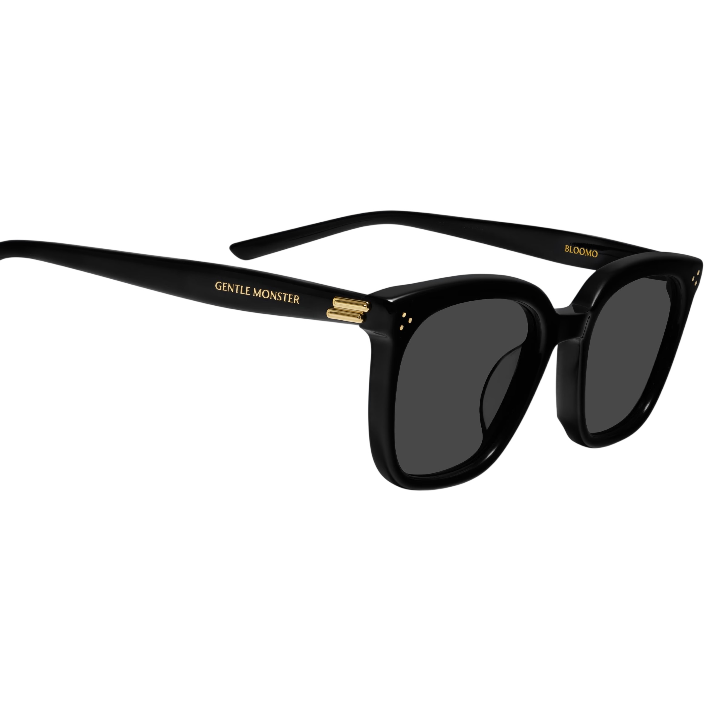 Mắt kính Gentle Monster Bloomo 01 Classic Square Black Lenses Sunglasses in Black Acetate Frame 1