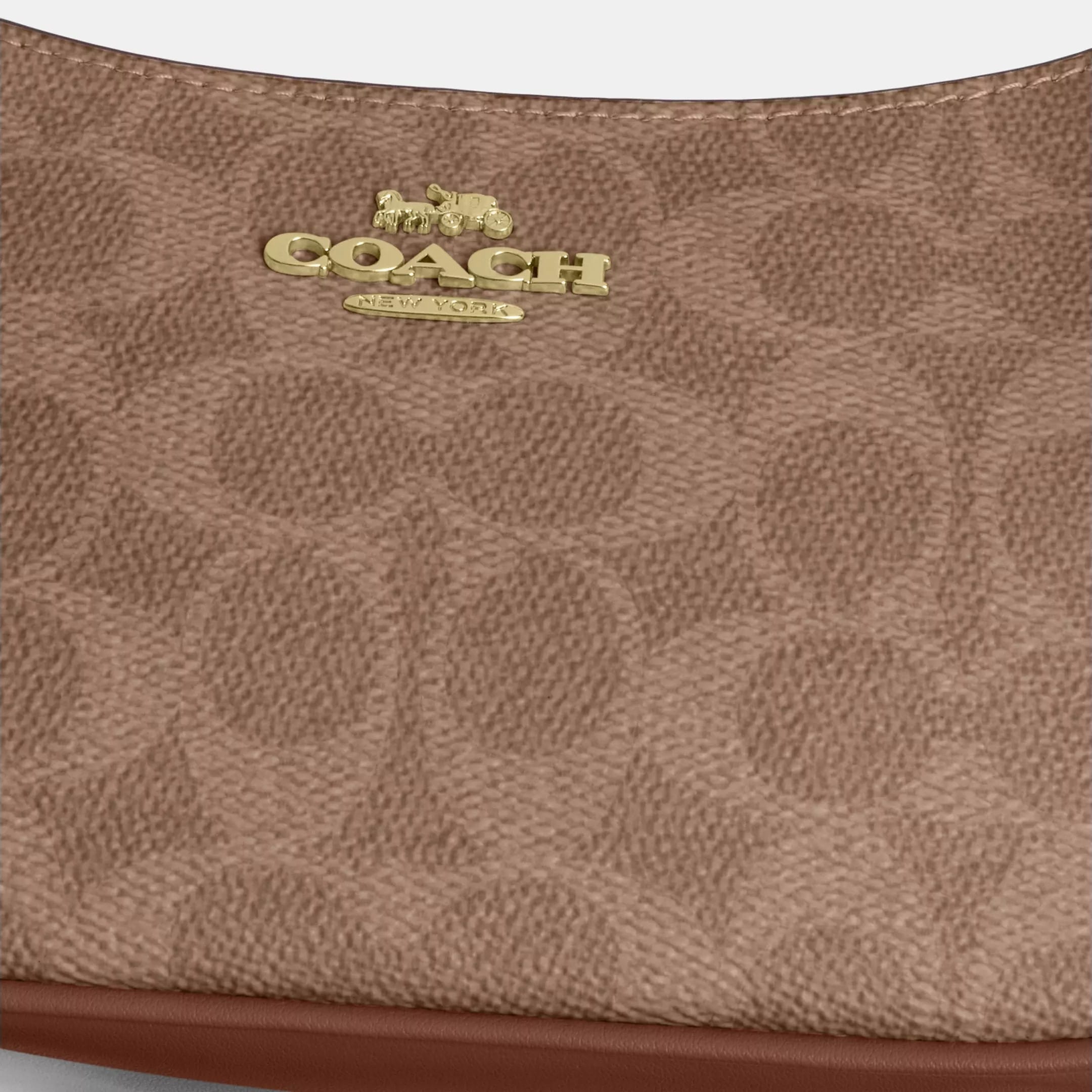 Túi đeo chéo Coach Teri Mini Crossbody Bag In Signature Canvas Brown CW323 1