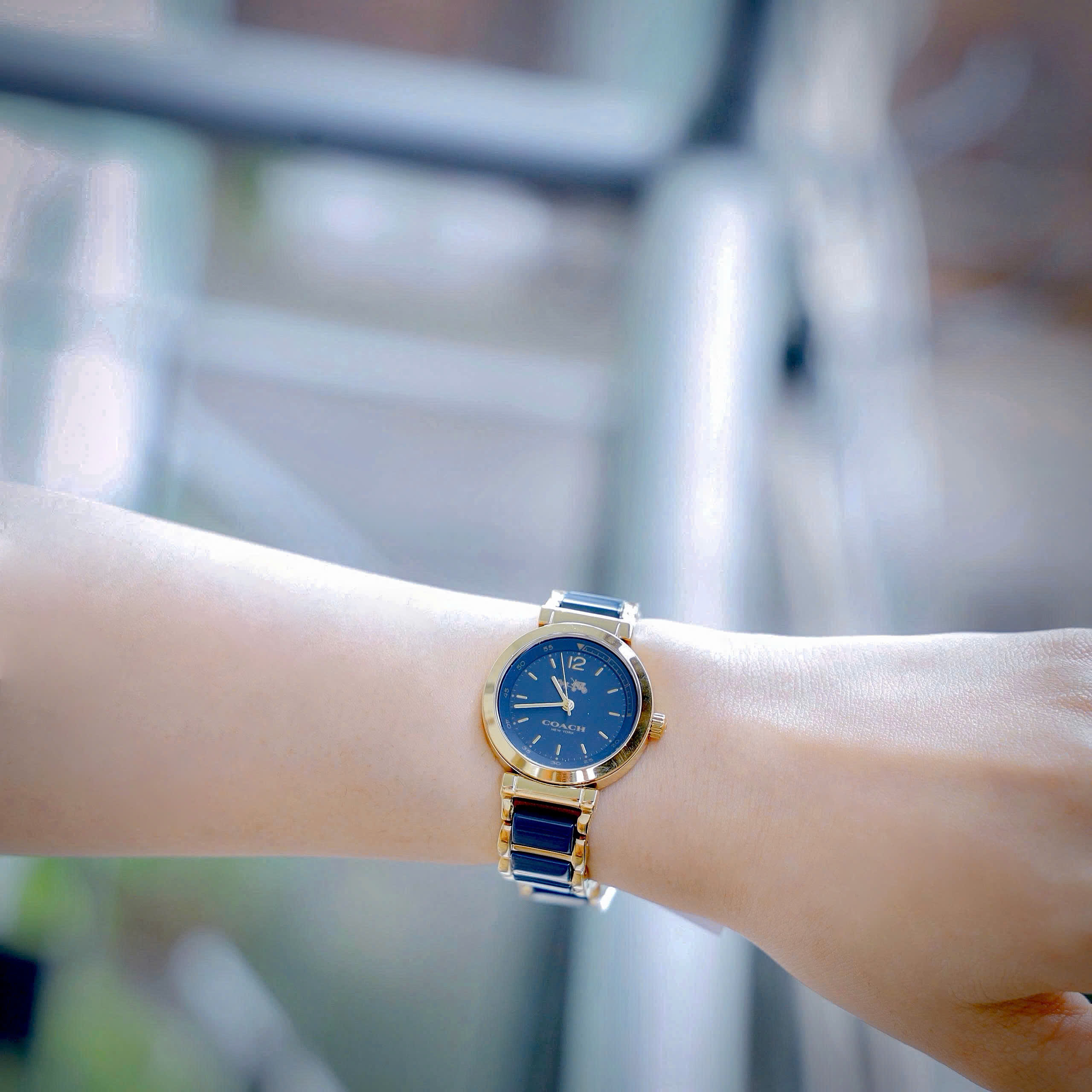 Đồng hồ đeo tay Coach Sport Ceramic Blue Dial Two Tone Steel Strap Watch 14502462 4