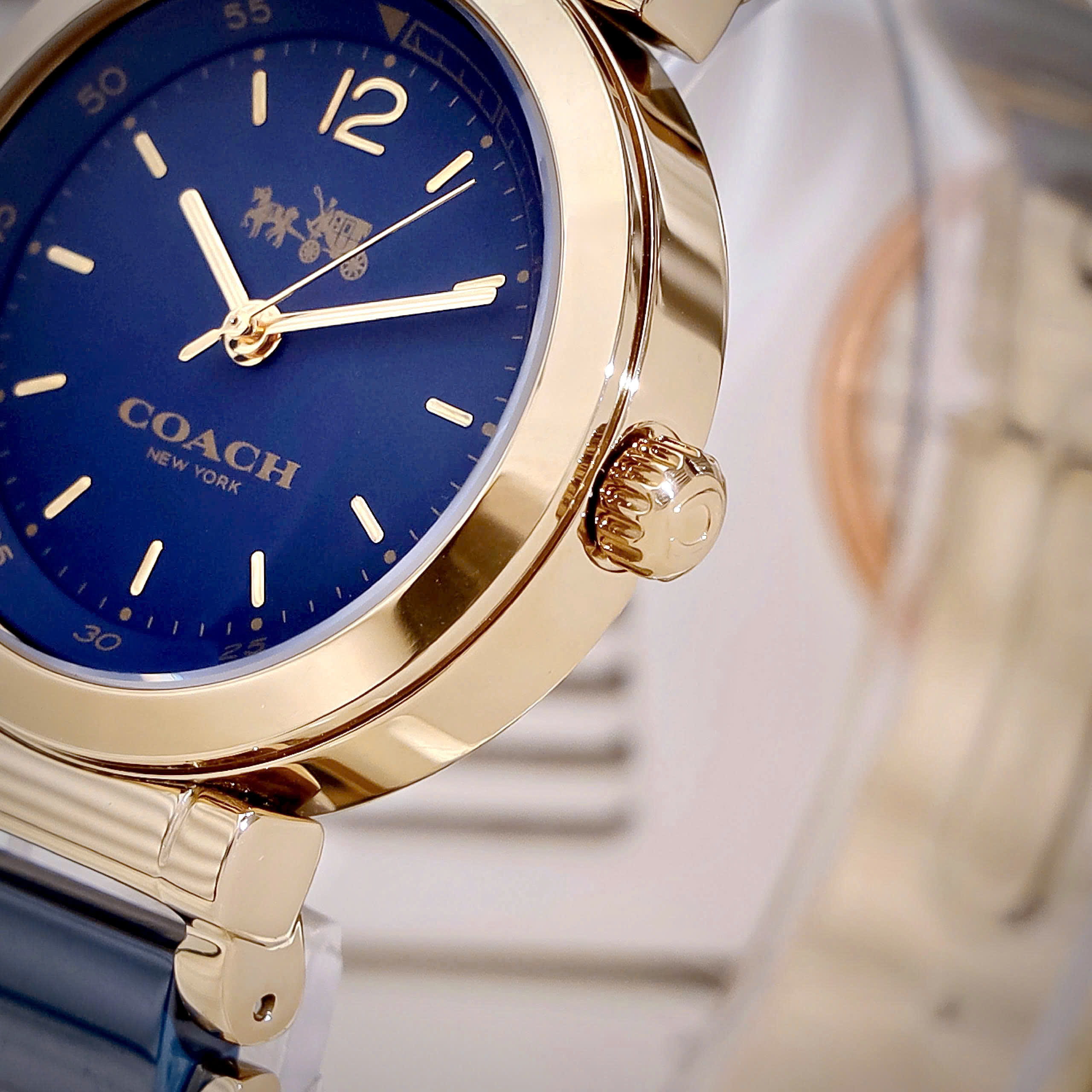 Đồng hồ đeo tay Coach Sport Ceramic Blue Dial Two Tone Steel Strap Watch 14502462 6