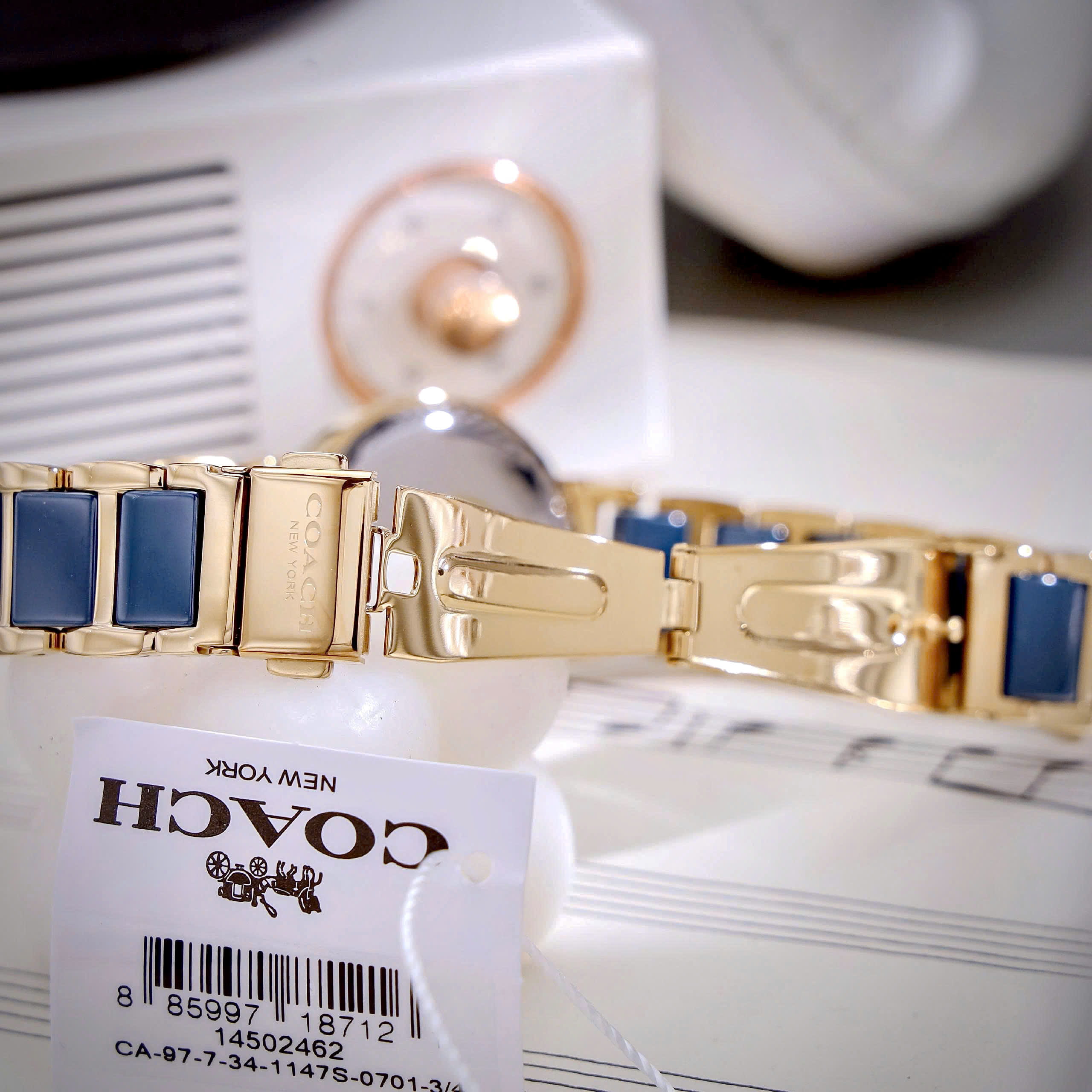 Đồng hồ đeo tay Coach Sport Ceramic Blue Dial Two Tone Steel Strap Watch 14502462 7