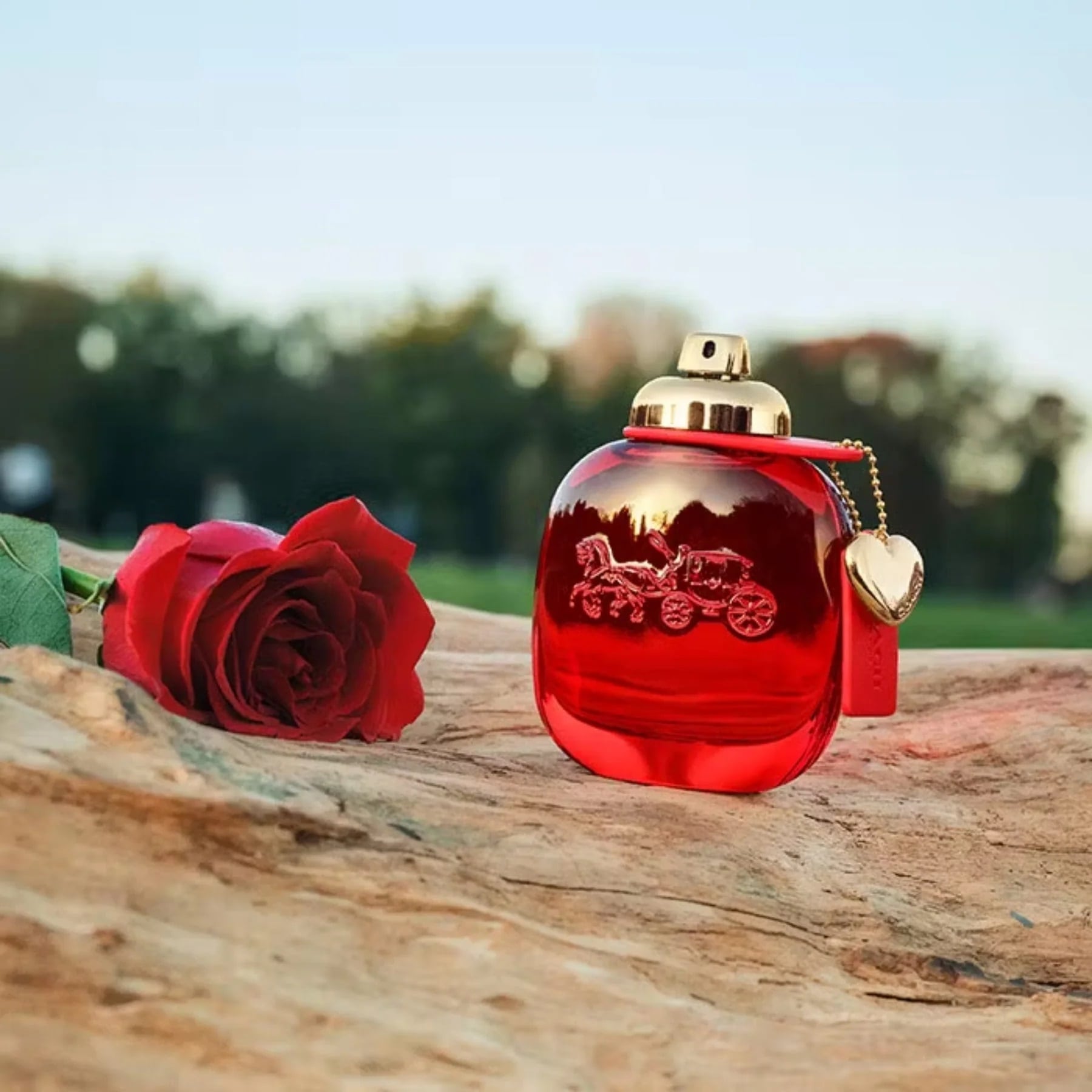 Nước Hoa Coach Love EDP 1