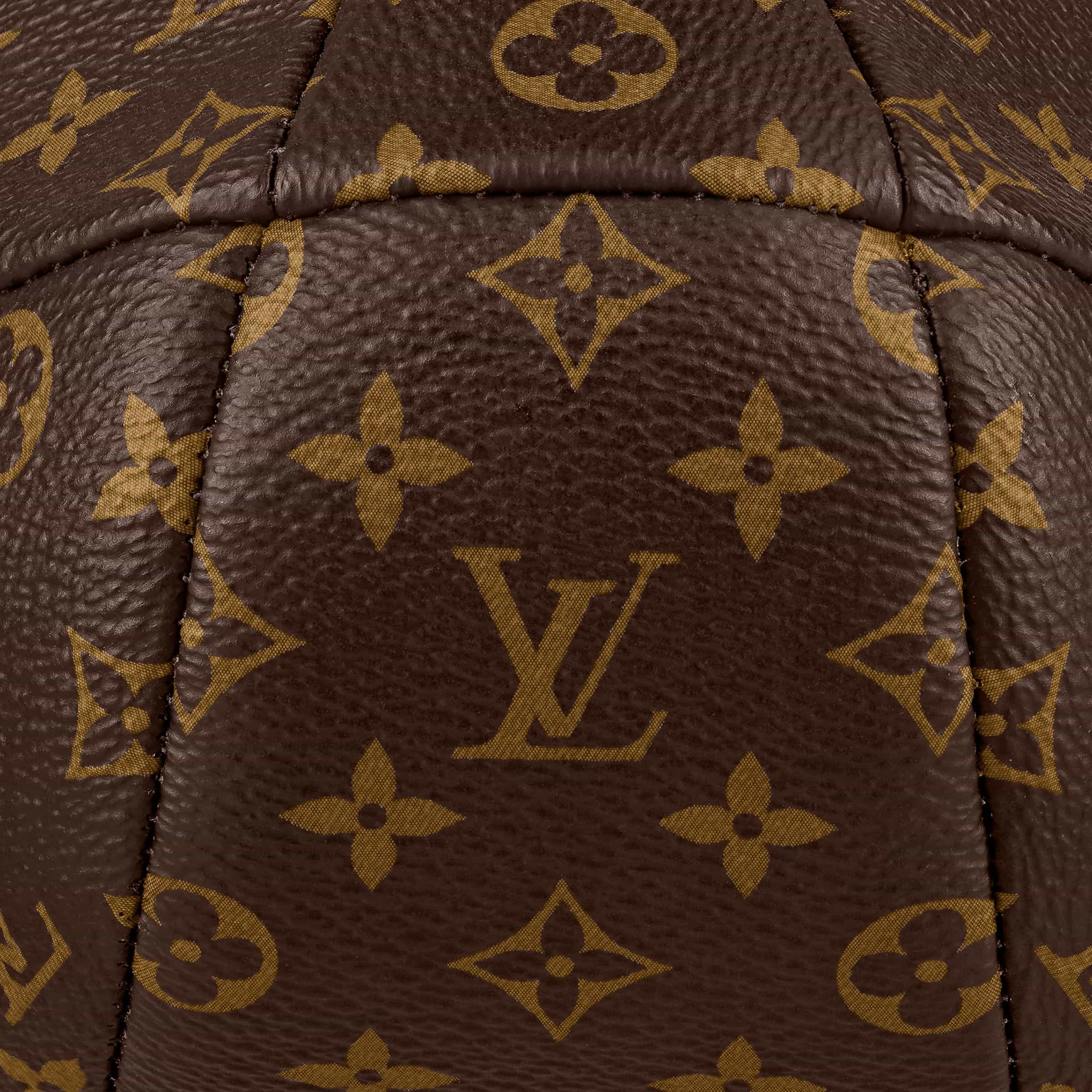 Túi đeo chéo Louis Vuitton Duck Bag Monogram Canvas 2