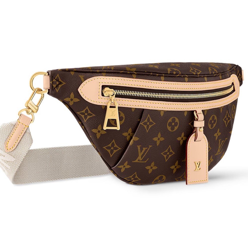 Túi nữ Đeo Hông Louis Vuitton High Rise Monogram Canvas 9