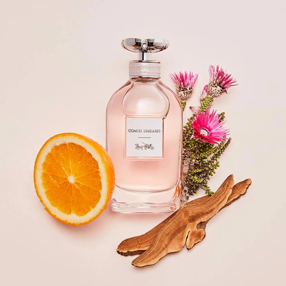 Nước hoa nữ Coach Dreams EDP 3