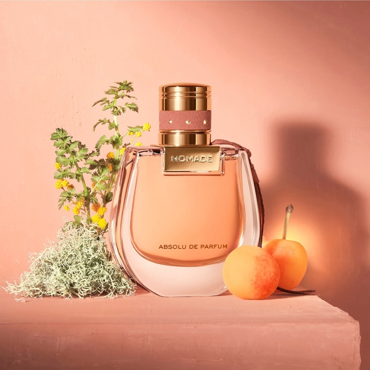 Nước hoa Chloe Nomade Absolu de Parfum 7