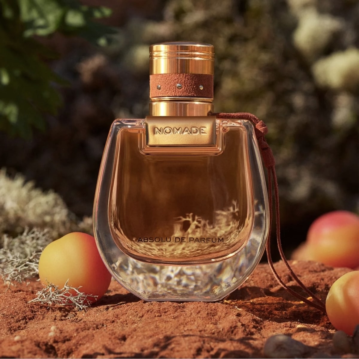 Nước hoa Chloe Nomade Absolu de Parfum 9