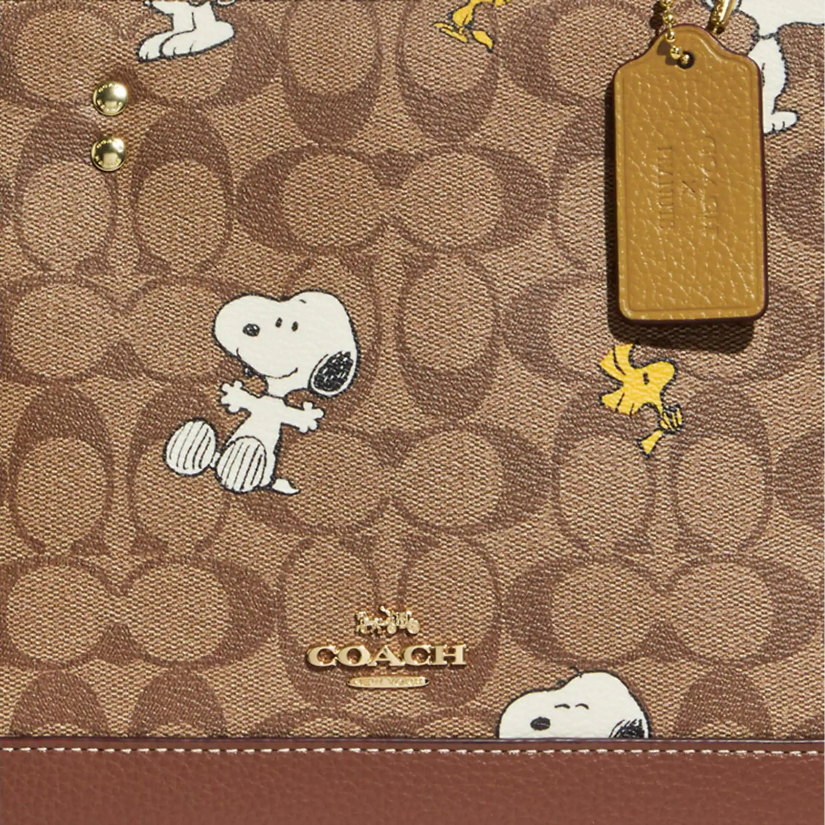 TÚI NỮ ĐEO CHÉO COACH X PEANUTS DEMPSEY CARRYALL IN SIGNATURE CANVAS WITH SNOOPY WOODSTOCK PRINT 1