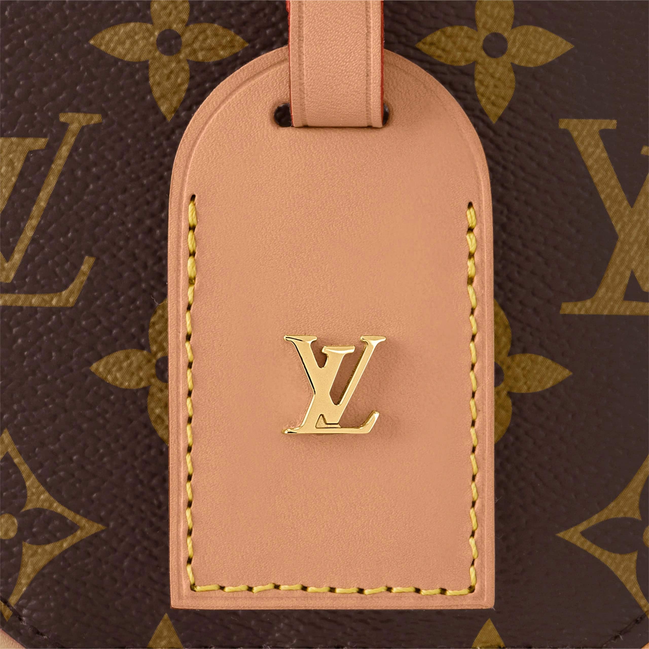 Túi xách cốp LV Louis Vuitton Mini Boite Chapeau Monogram M44699 6