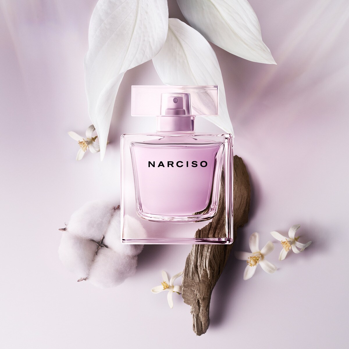 Nước hoa Narciso Rodriguez Radiante EDP 8