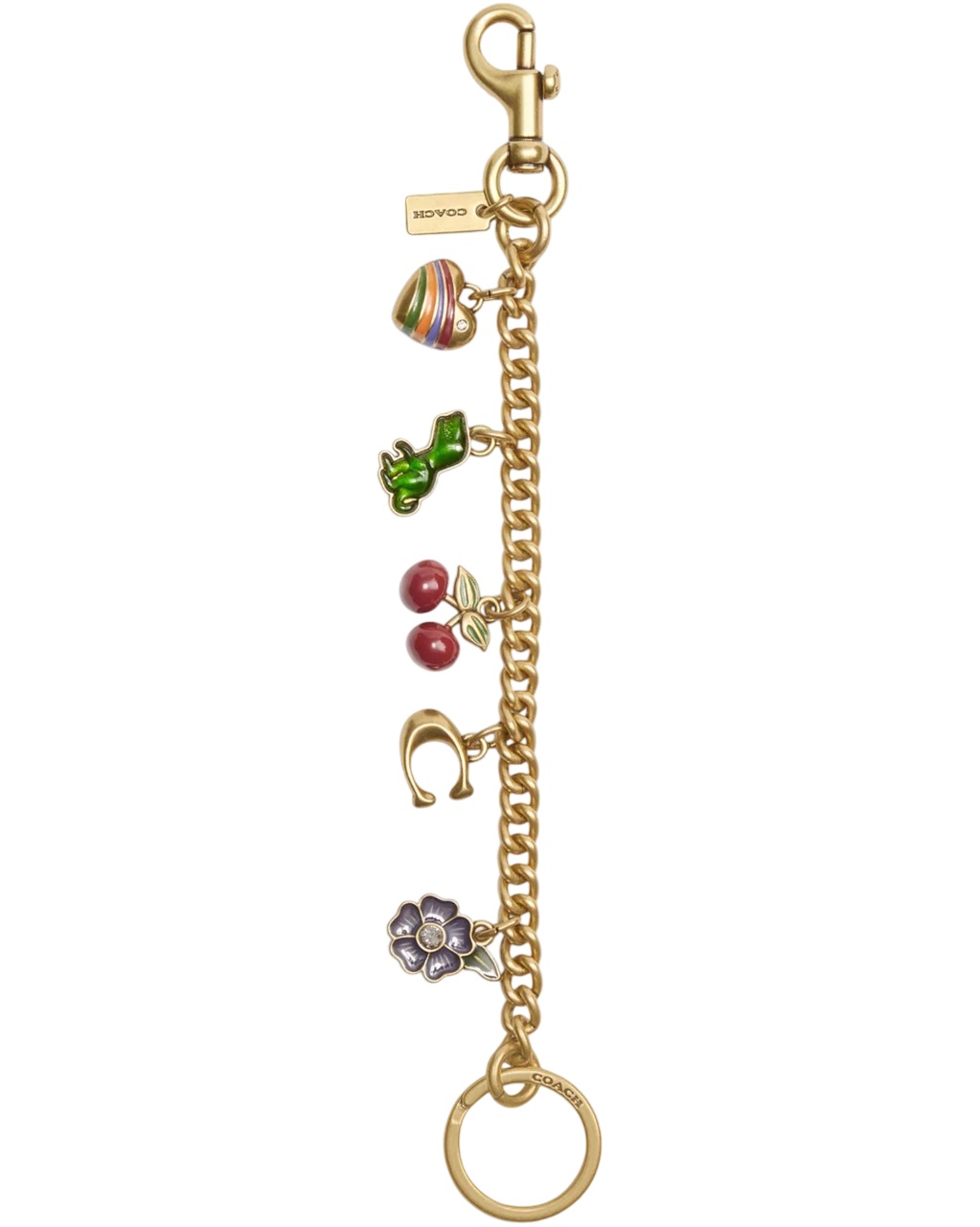 Dây Charm túi xách Coach Motif Chain Bag Pendant CN119 4