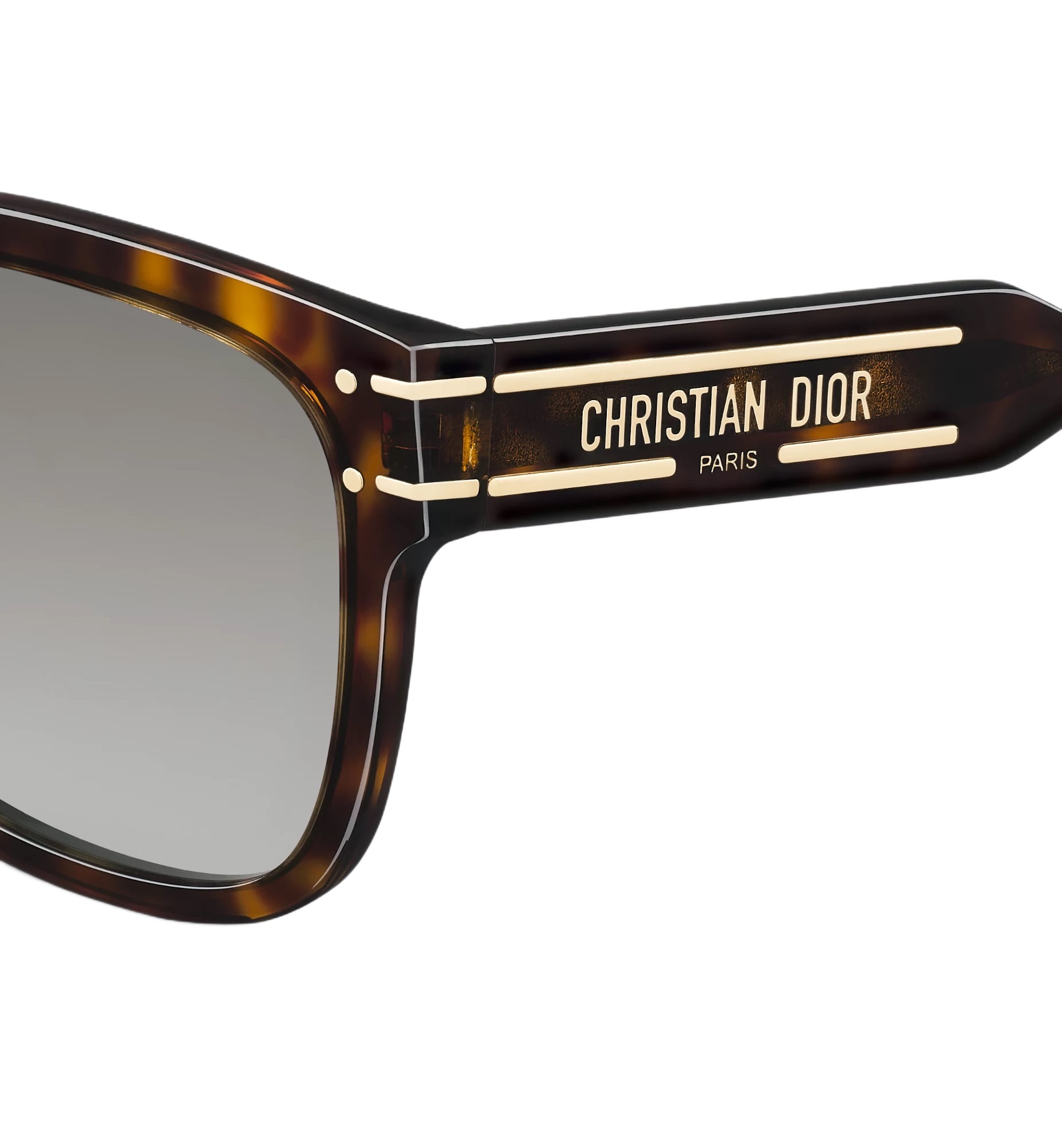 Kính mát Dior DiorSignature S7F Deep Brown Tortoiseshell-Effect Square Sunglasses 1