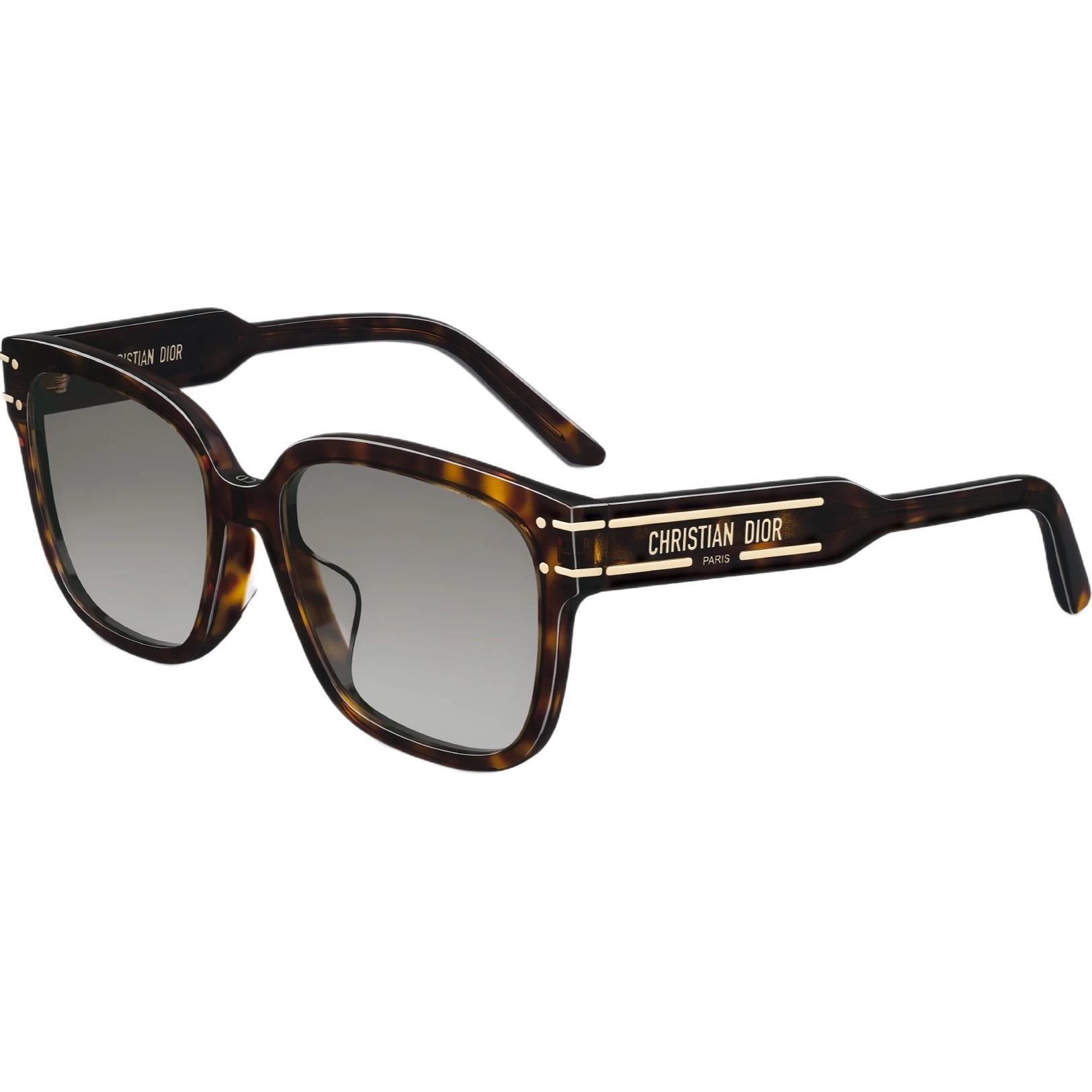 Kính mát Dior DiorSignature S7F Deep Brown Tortoiseshell-Effect Square Sunglasses 7