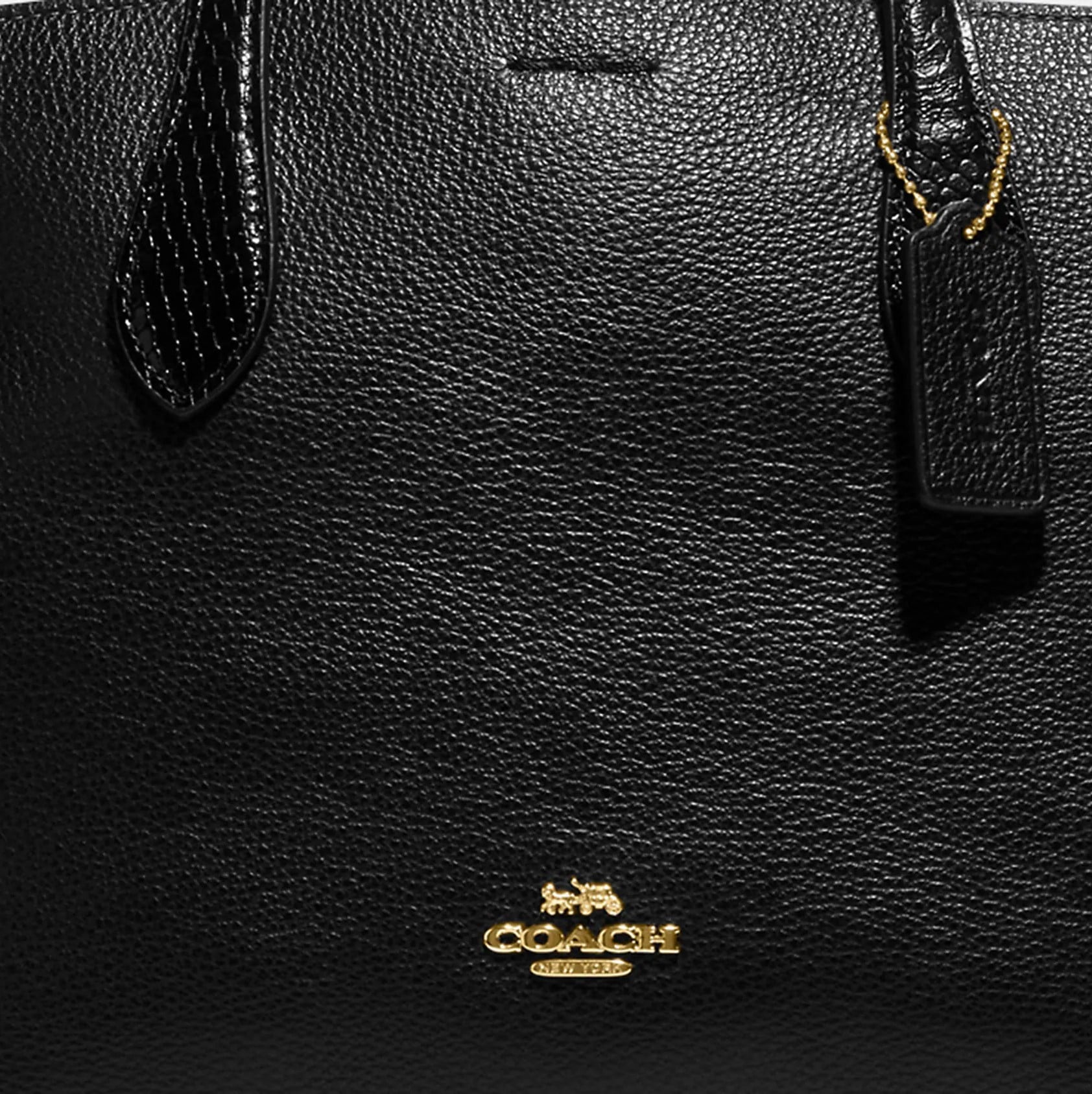TÚI XÁCH NỮ COACH HANNA CARRYALL REFINED PEBBLE LEATHER AND SNAKE EMBOSSED LEATHER CH187 1