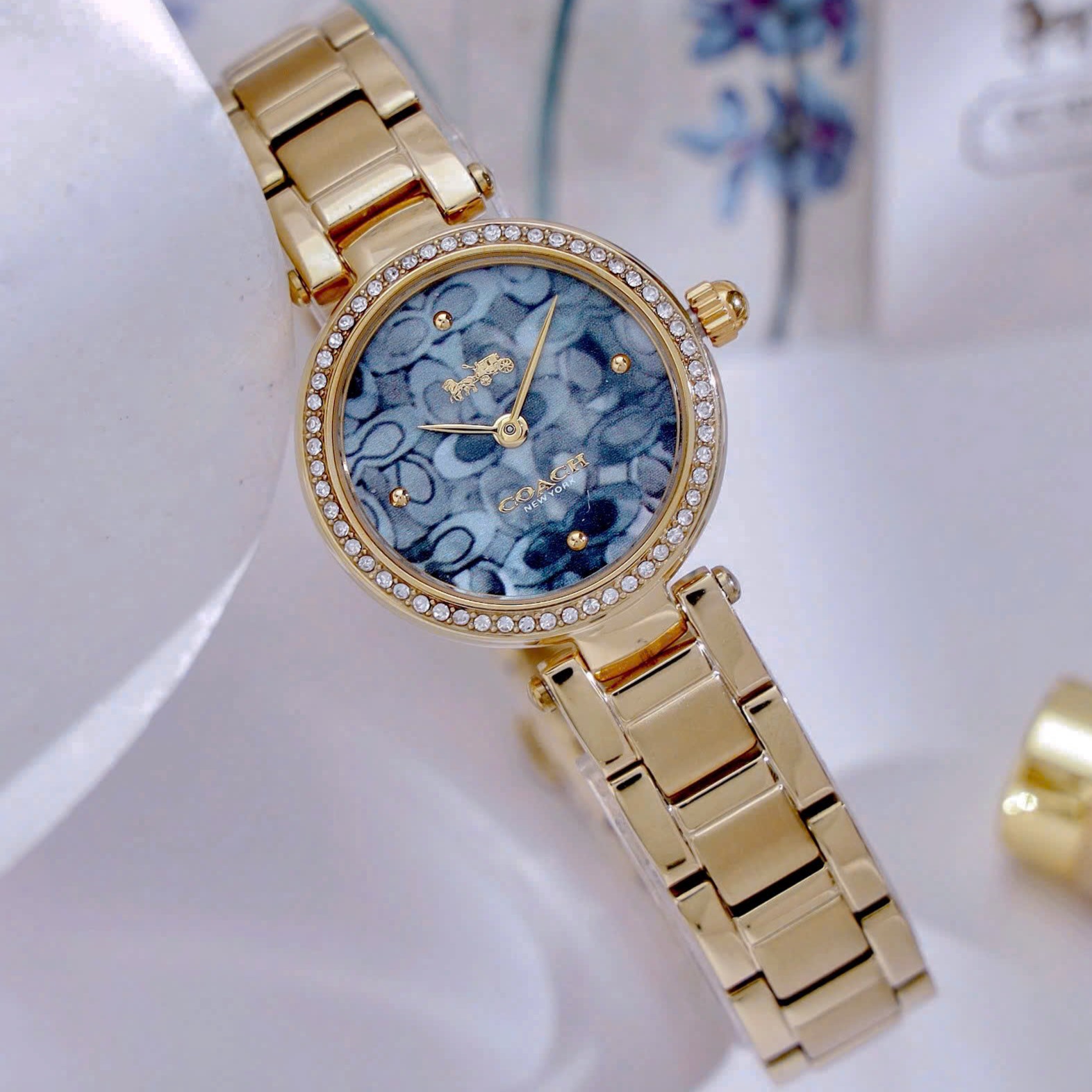 Đồng Hồ đeo tay Coach Nữ Quartz 14503225 3