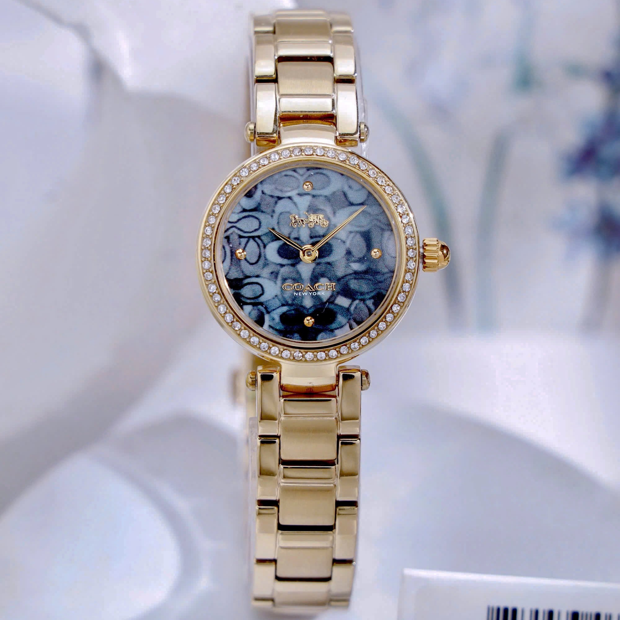 Đồng Hồ đeo tay Coach Nữ Quartz 14503225 1